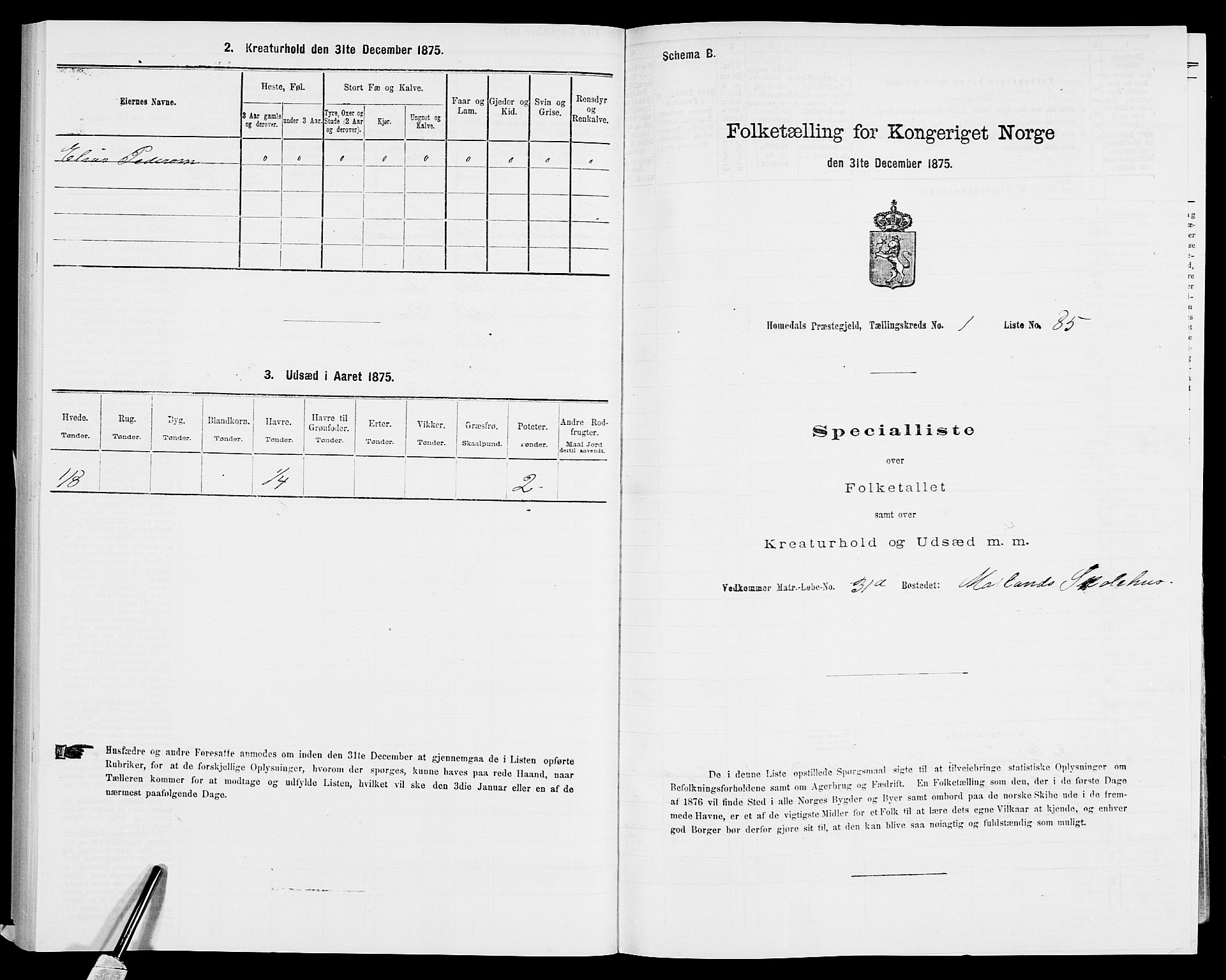 SAK, 1875 census for 0924P Homedal, 1875, p. 525