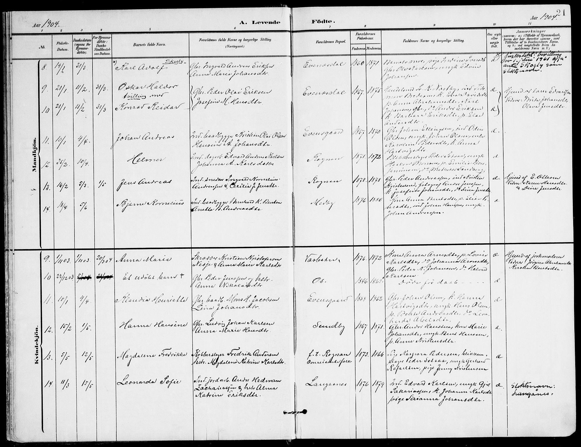 Ministerialprotokoller, klokkerbøker og fødselsregistre - Nordland, AV/SAT-A-1459/847/L0672: Parish register (official) no. 847A12, 1902-1919, p. 21