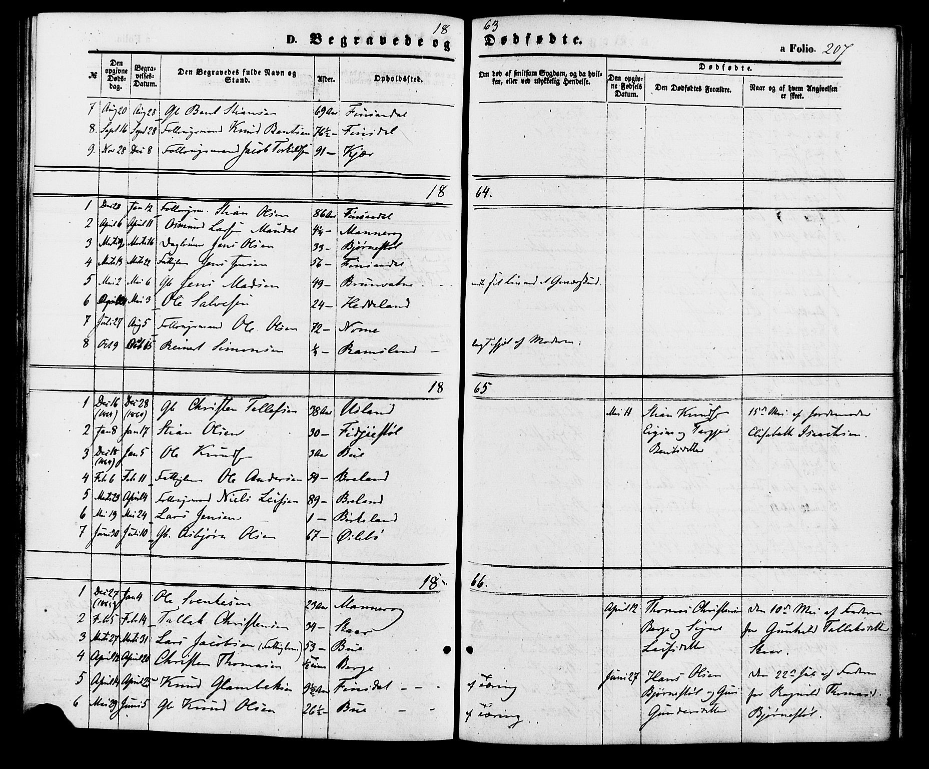 Holum sokneprestkontor, SAK/1111-0022/F/Fa/Fac/L0003: Parish register (official) no. A 3, 1860-1883, p. 207