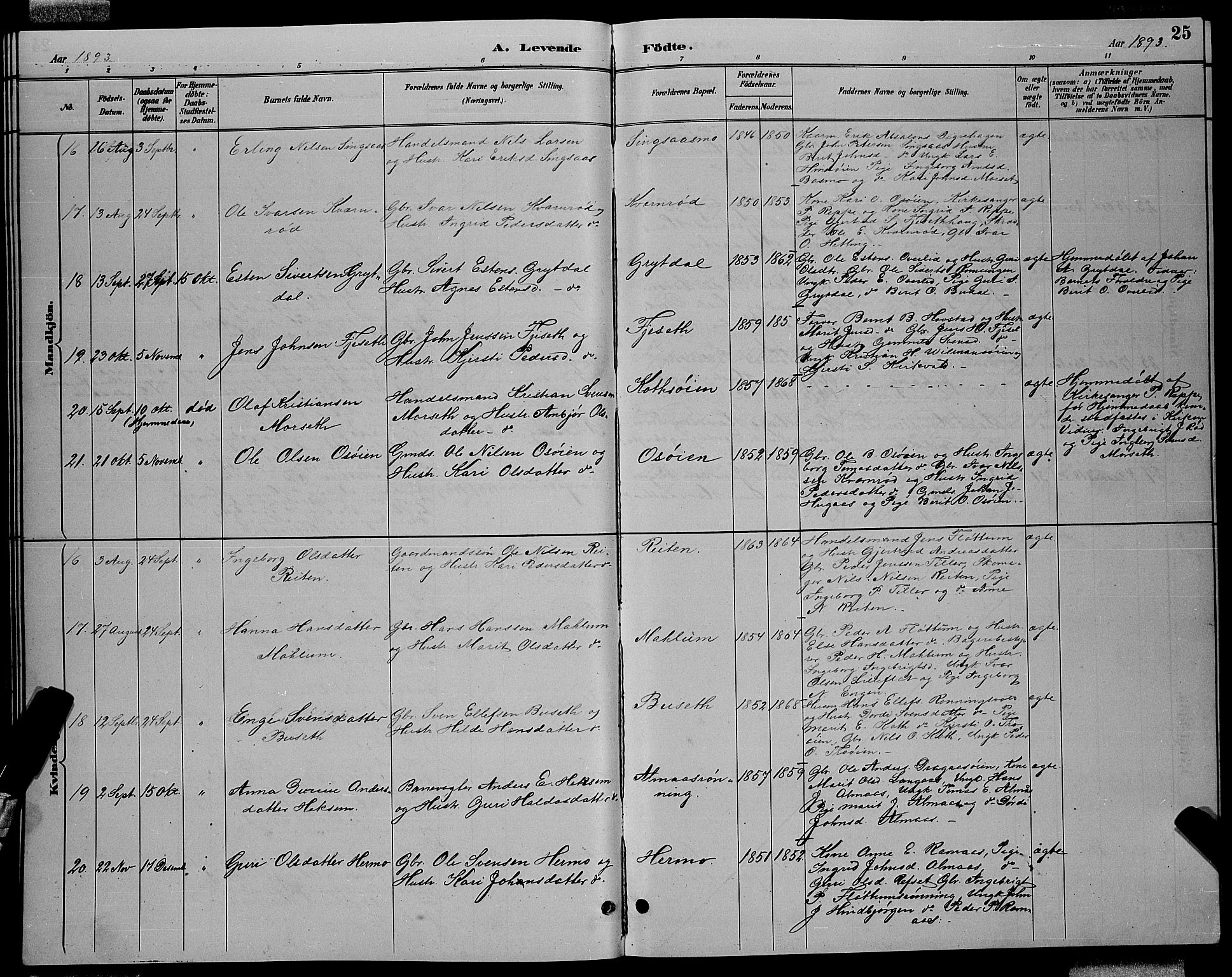 Ministerialprotokoller, klokkerbøker og fødselsregistre - Sør-Trøndelag, AV/SAT-A-1456/688/L1028: Parish register (copy) no. 688C03, 1889-1899, p. 25