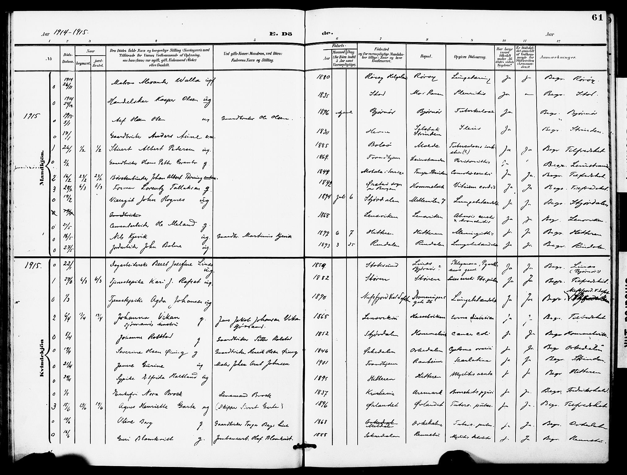 Ministerialprotokoller, klokkerbøker og fødselsregistre - Sør-Trøndelag, SAT/A-1456/628/L0483: Parish register (official) no. 628A01, 1902-1920, p. 61