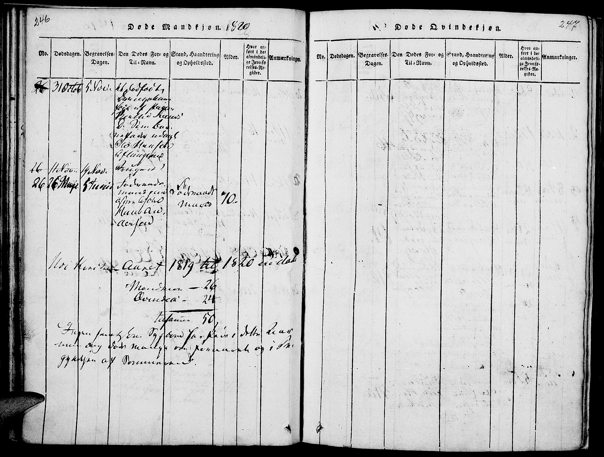 Nes prestekontor, Hedmark, SAH/PREST-020/K/Ka/L0002: Parish register (official) no. 2, 1813-1827, p. 246-247