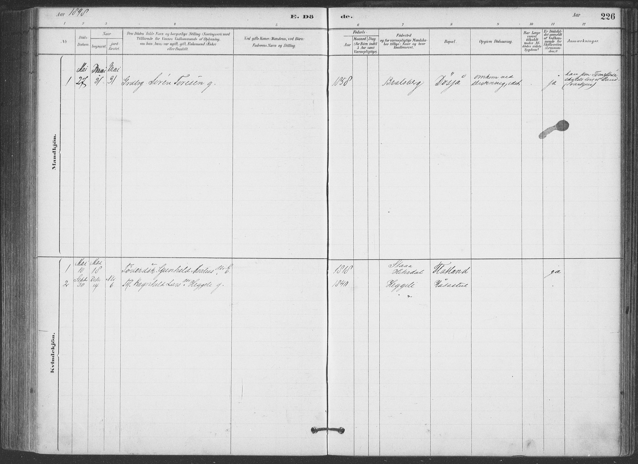 Hjartdal kirkebøker, SAKO/A-270/F/Fa/L0010: Parish register (official) no. I 10, 1880-1929, p. 226