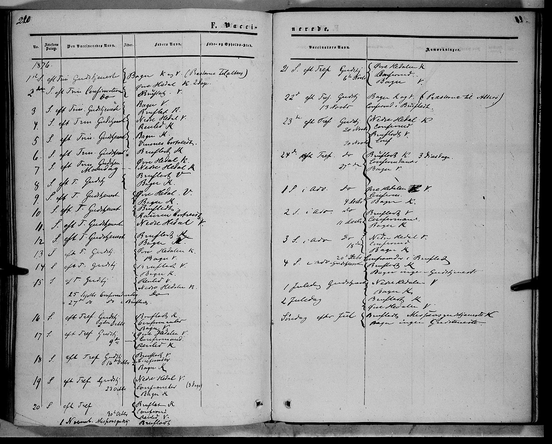Sør-Aurdal prestekontor, SAH/PREST-128/H/Ha/Haa/L0007: Parish register (official) no. 7, 1849-1876, p. 220