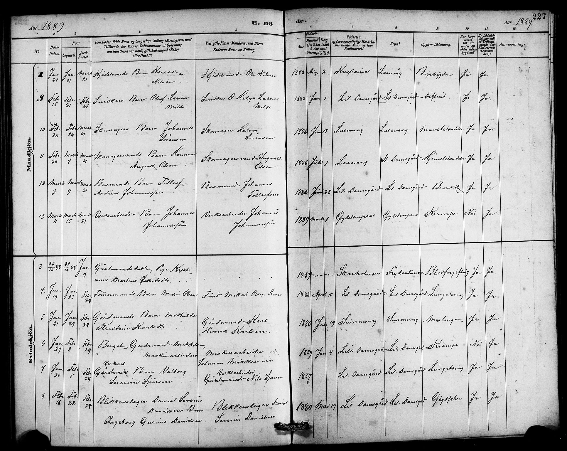 Laksevåg Sokneprestembete, SAB/A-76501/H/Ha/Hab/Haba/L0003: Parish register (copy) no. A 3, 1887-1899, p. 227