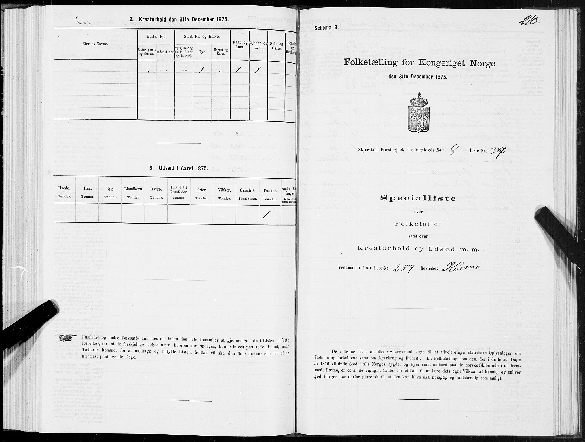SAT, 1875 census for 1842P Skjerstad, 1875, p. 4210