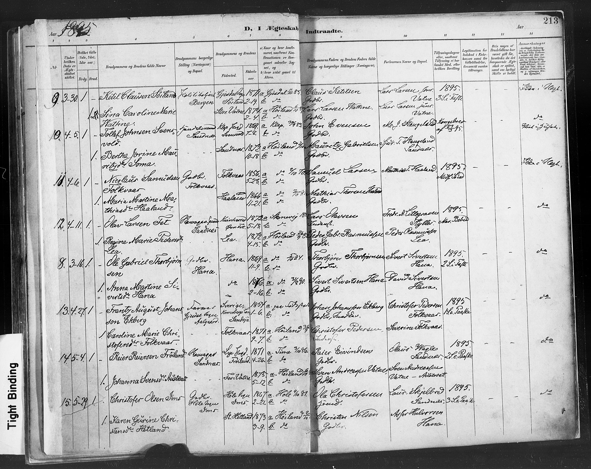 Høyland sokneprestkontor, AV/SAST-A-101799/001/30BA/L0013: Parish register (official) no. A 13.1, 1889-1898, p. 213