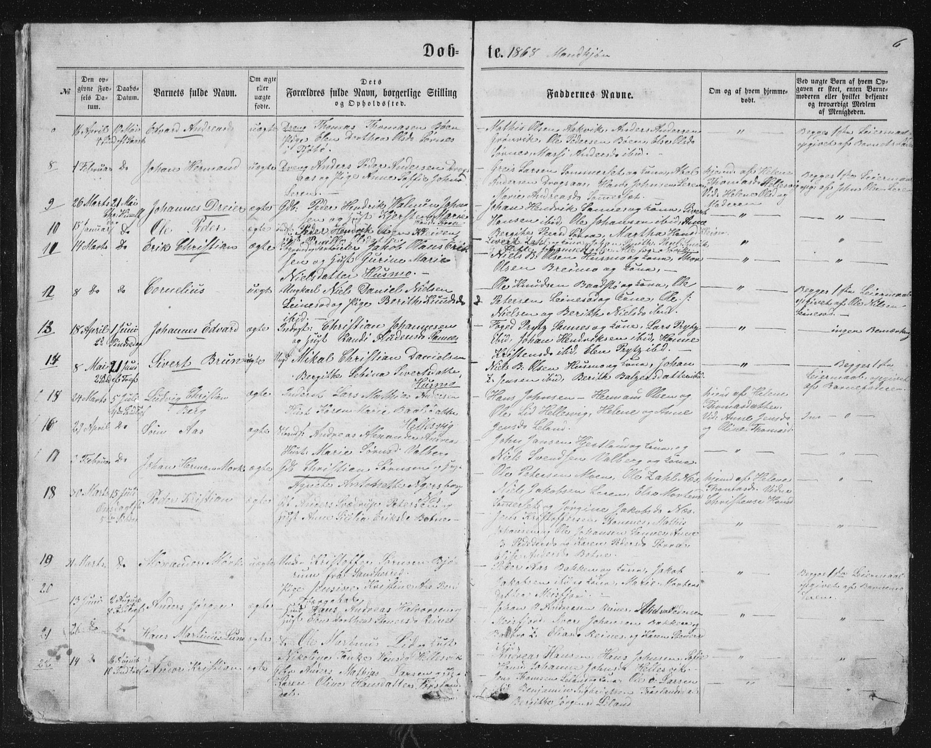 Ministerialprotokoller, klokkerbøker og fødselsregistre - Nordland, AV/SAT-A-1459/831/L0476: Parish register (copy) no. 831C03, 1866-1877, p. 6