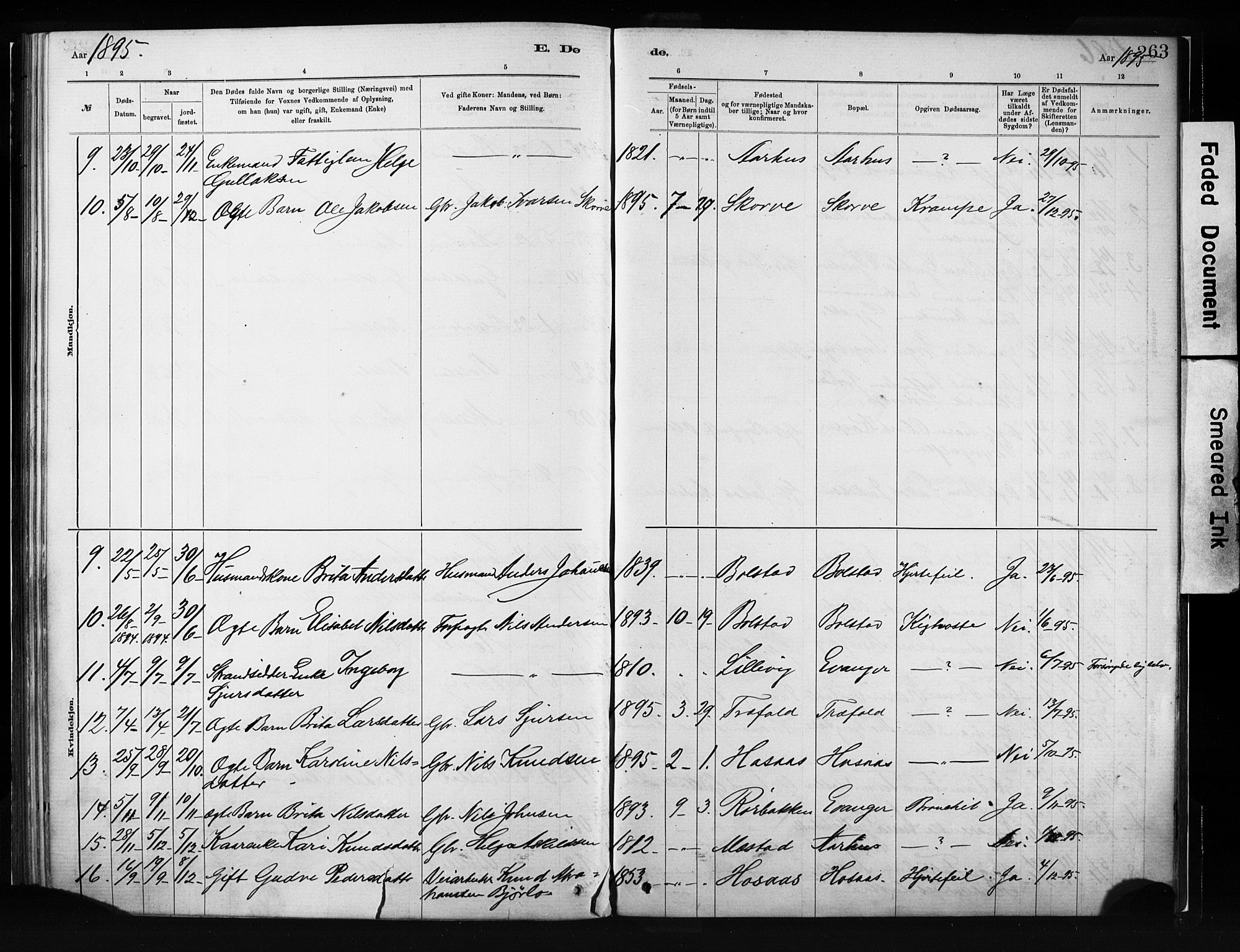 Evanger sokneprestembete, SAB/A-99924: Parish register (official) no. A 1, 1877-1899, p. 263