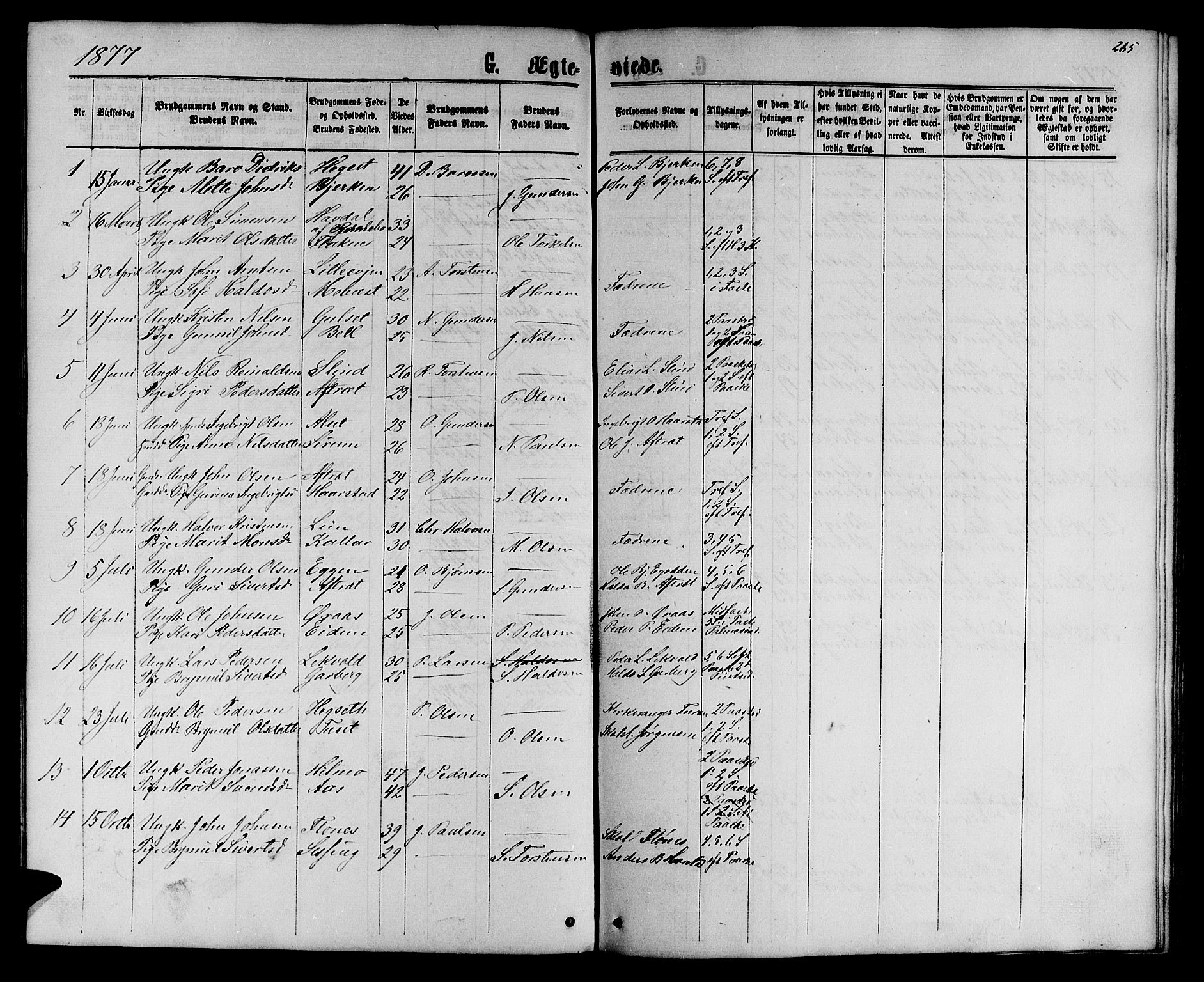 Ministerialprotokoller, klokkerbøker og fødselsregistre - Sør-Trøndelag, AV/SAT-A-1456/695/L1156: Parish register (copy) no. 695C07, 1869-1888, p. 265