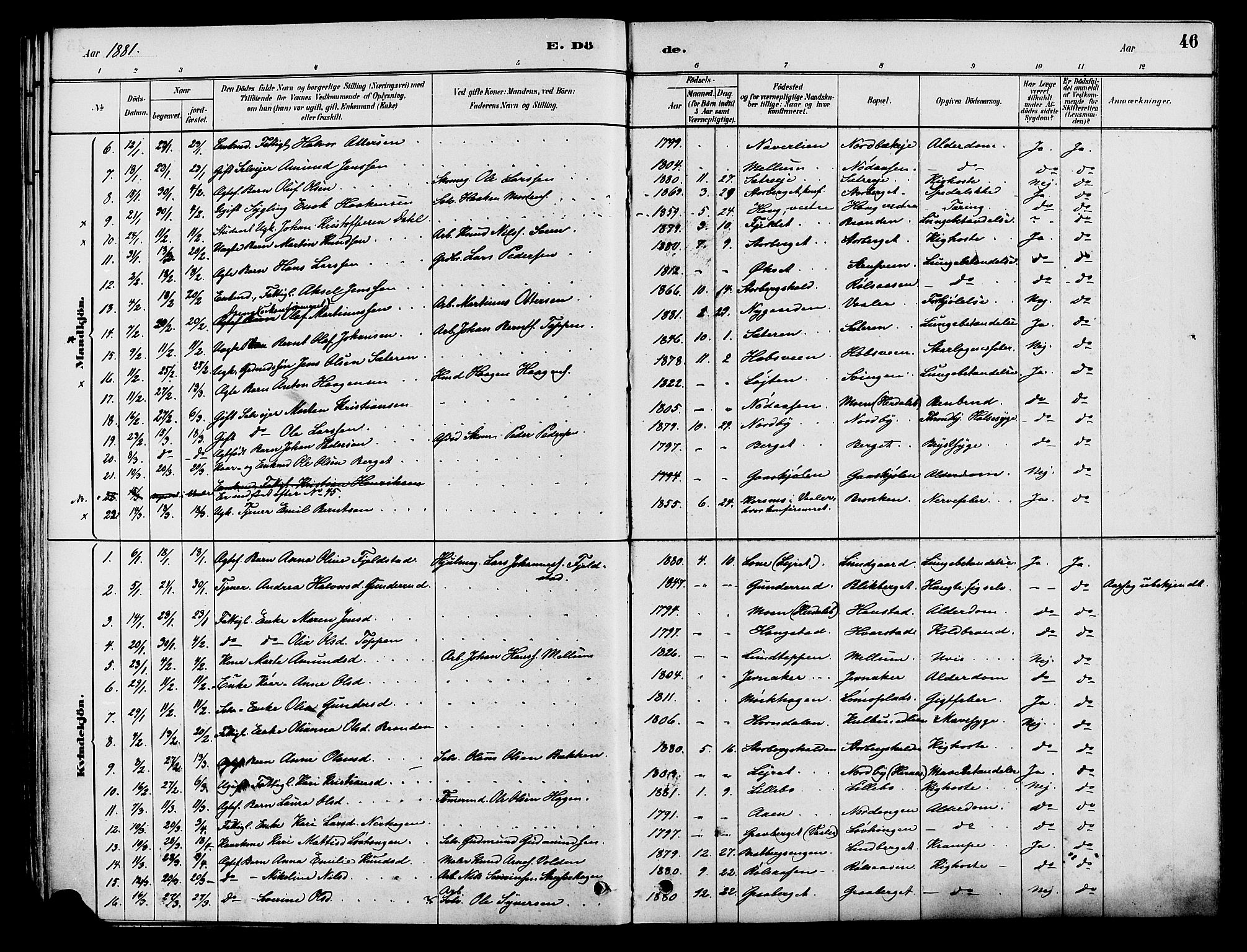 Elverum prestekontor, AV/SAH-PREST-044/H/Ha/Haa/L0012: Parish register (official) no. 12, 1880-1893, p. 46