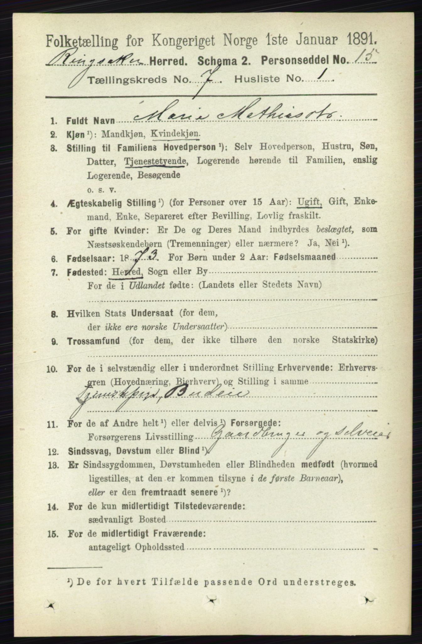 RA, 1891 census for 0412 Ringsaker, 1891, p. 3880