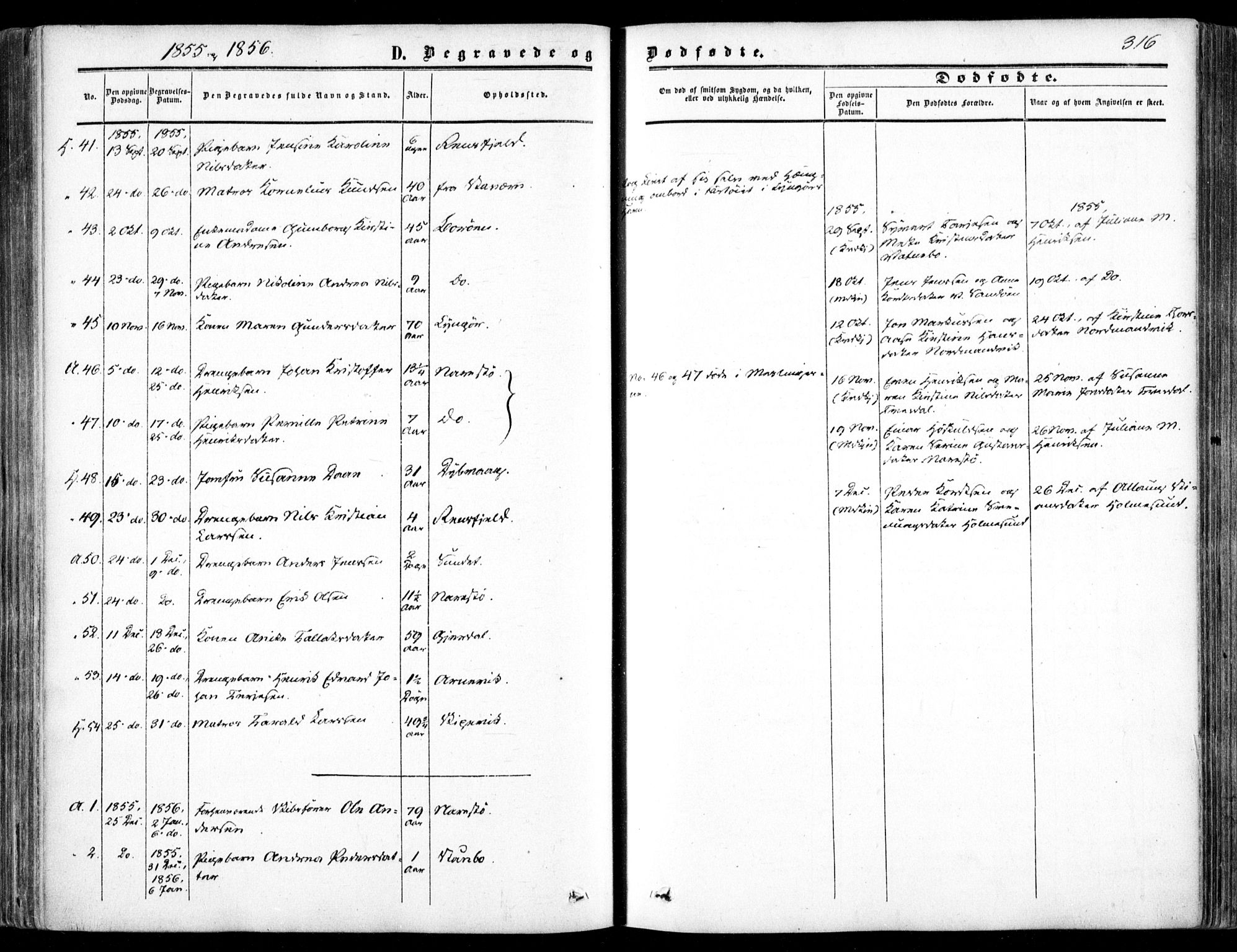 Dypvåg sokneprestkontor, SAK/1111-0007/F/Fa/Faa/L0006: Parish register (official) no. A 6, 1855-1872, p. 316
