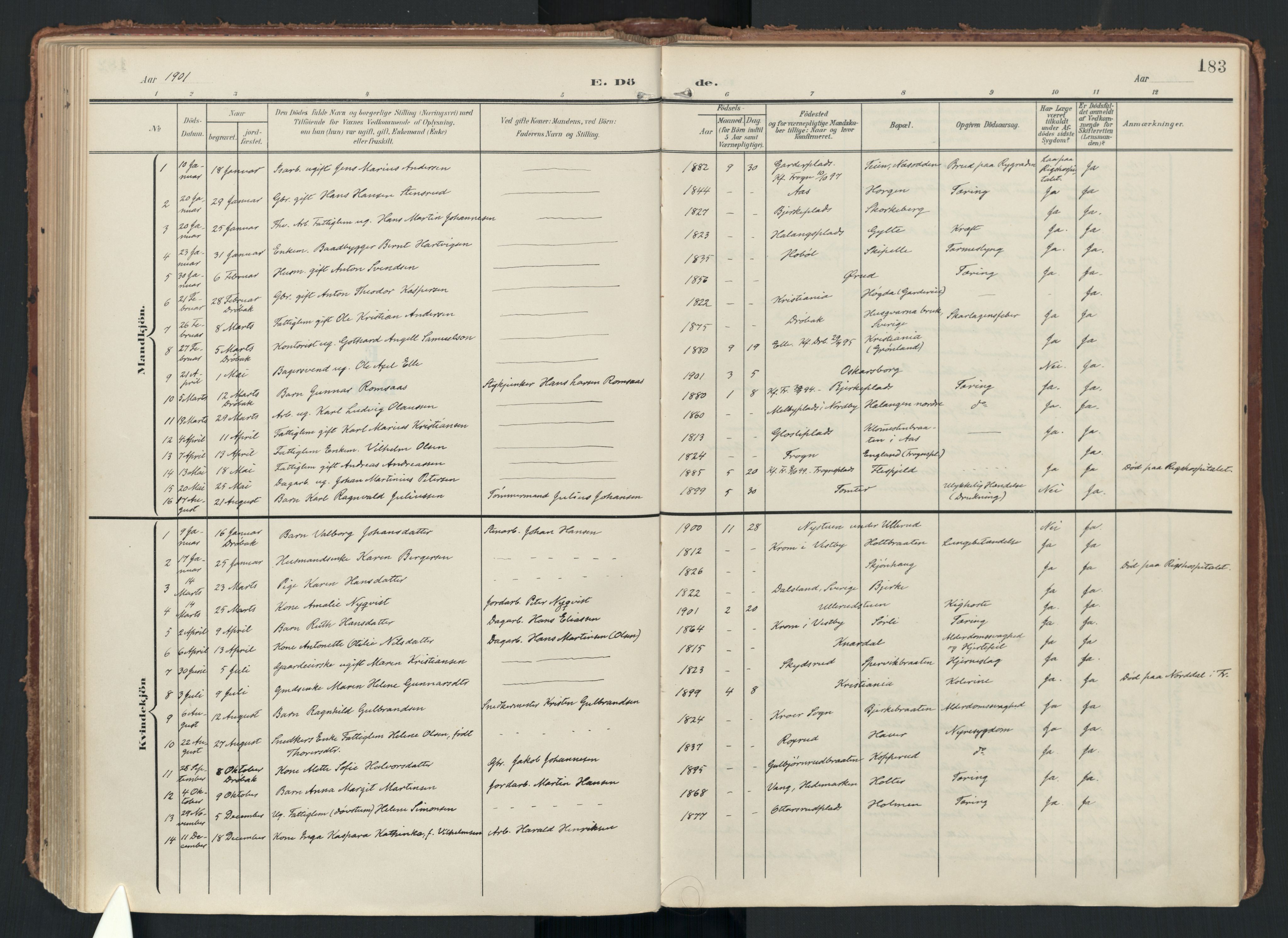 Drøbak prestekontor Kirkebøker, SAO/A-10142a/F/Fc/L0003: Parish register (official) no. III 3, 1901-1920, p. 183