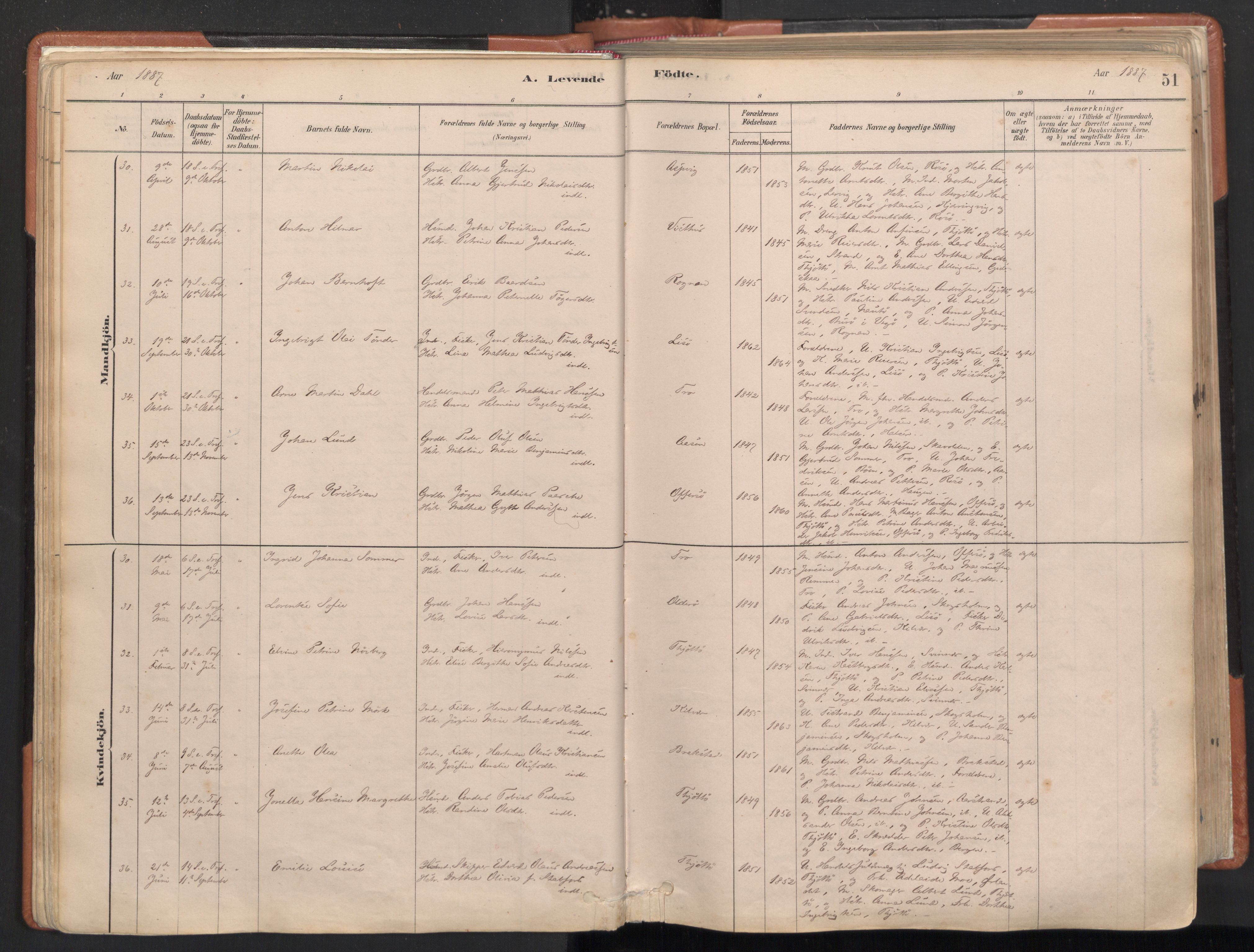 Ministerialprotokoller, klokkerbøker og fødselsregistre - Nordland, AV/SAT-A-1459/817/L0264: Parish register (official) no. 817A04, 1878-1907, p. 51