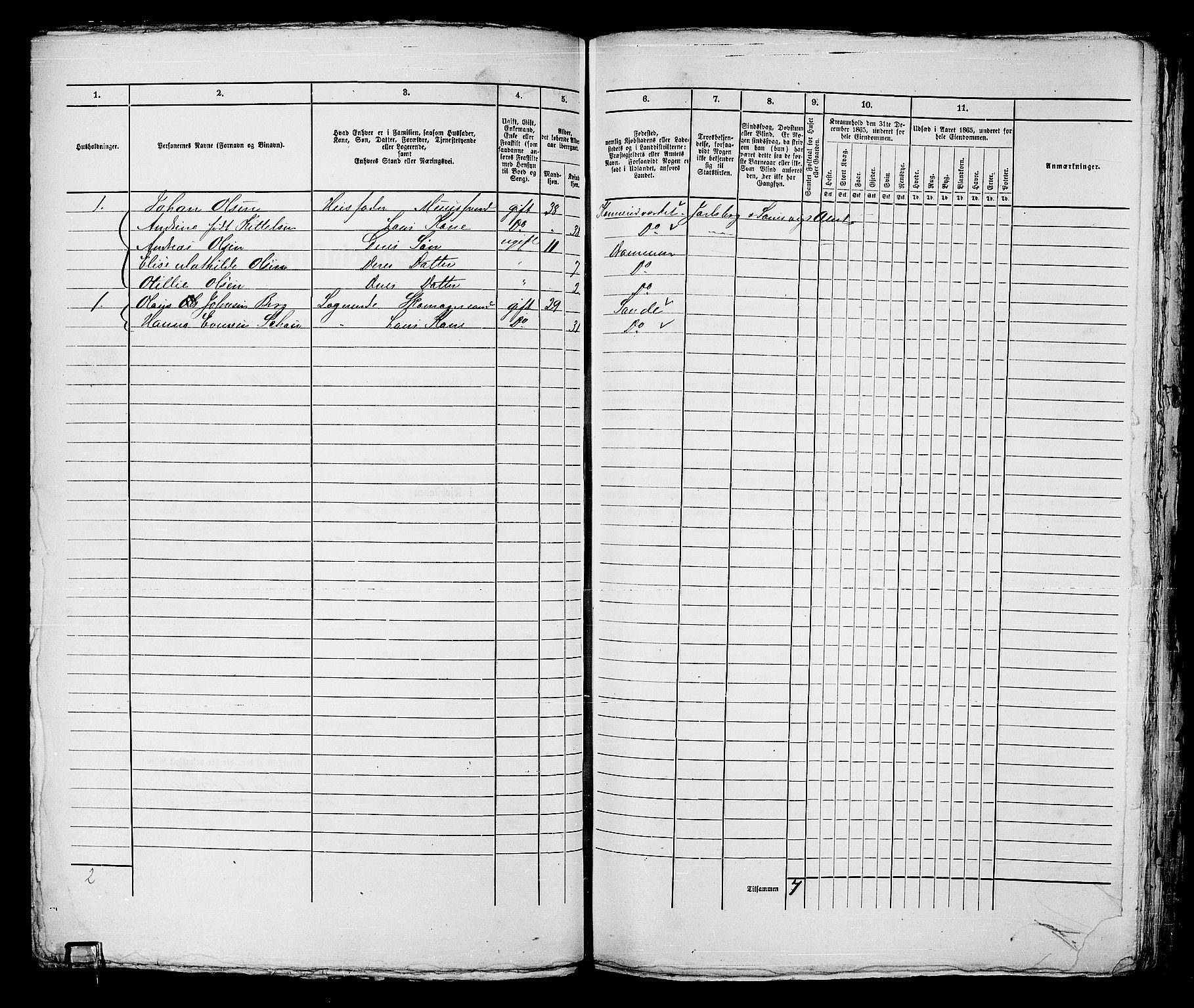 RA, 1865 census for Strømsø in Drammen, 1865, p. 218