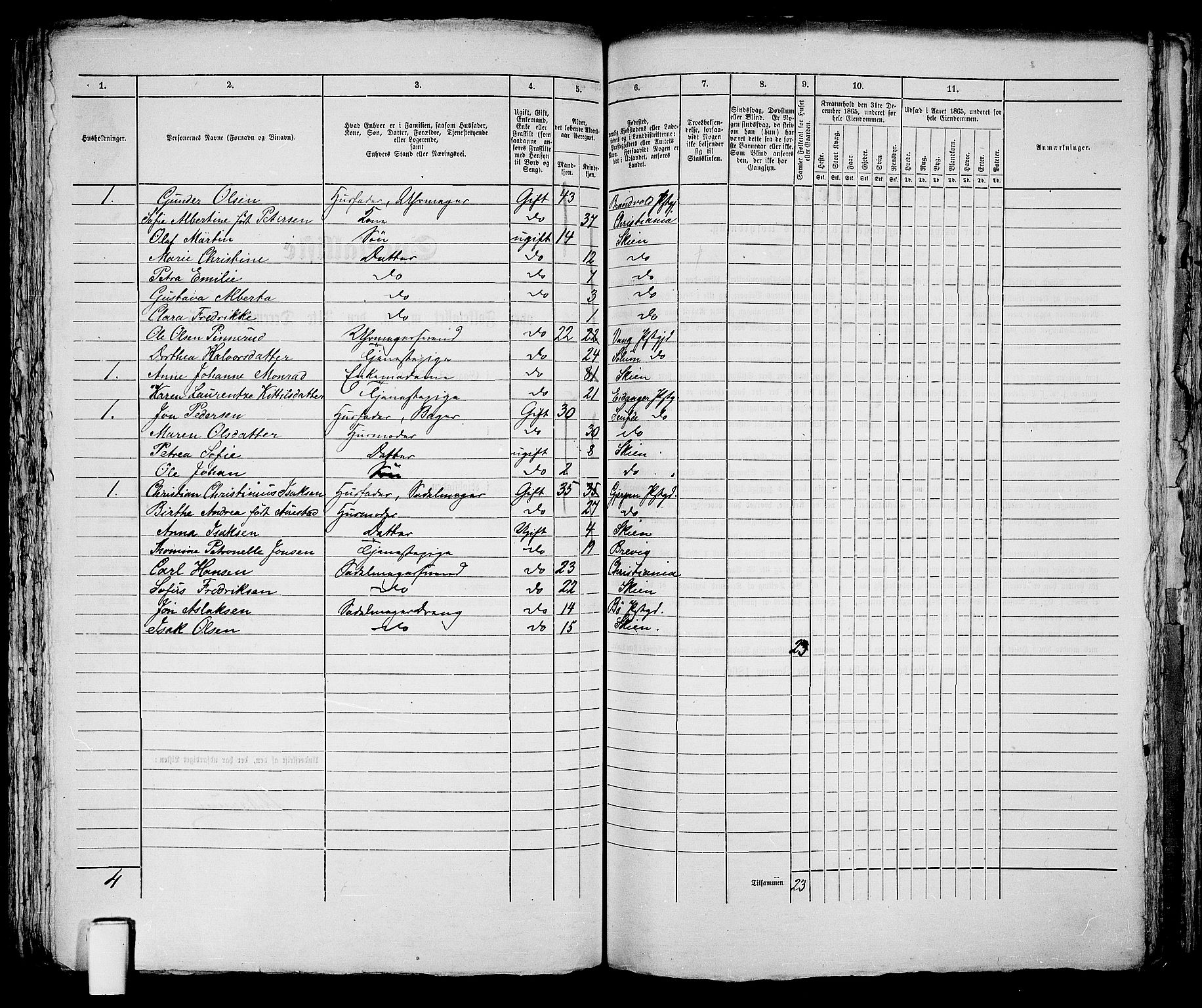 RA, 1865 census for Skien, 1865, p. 611