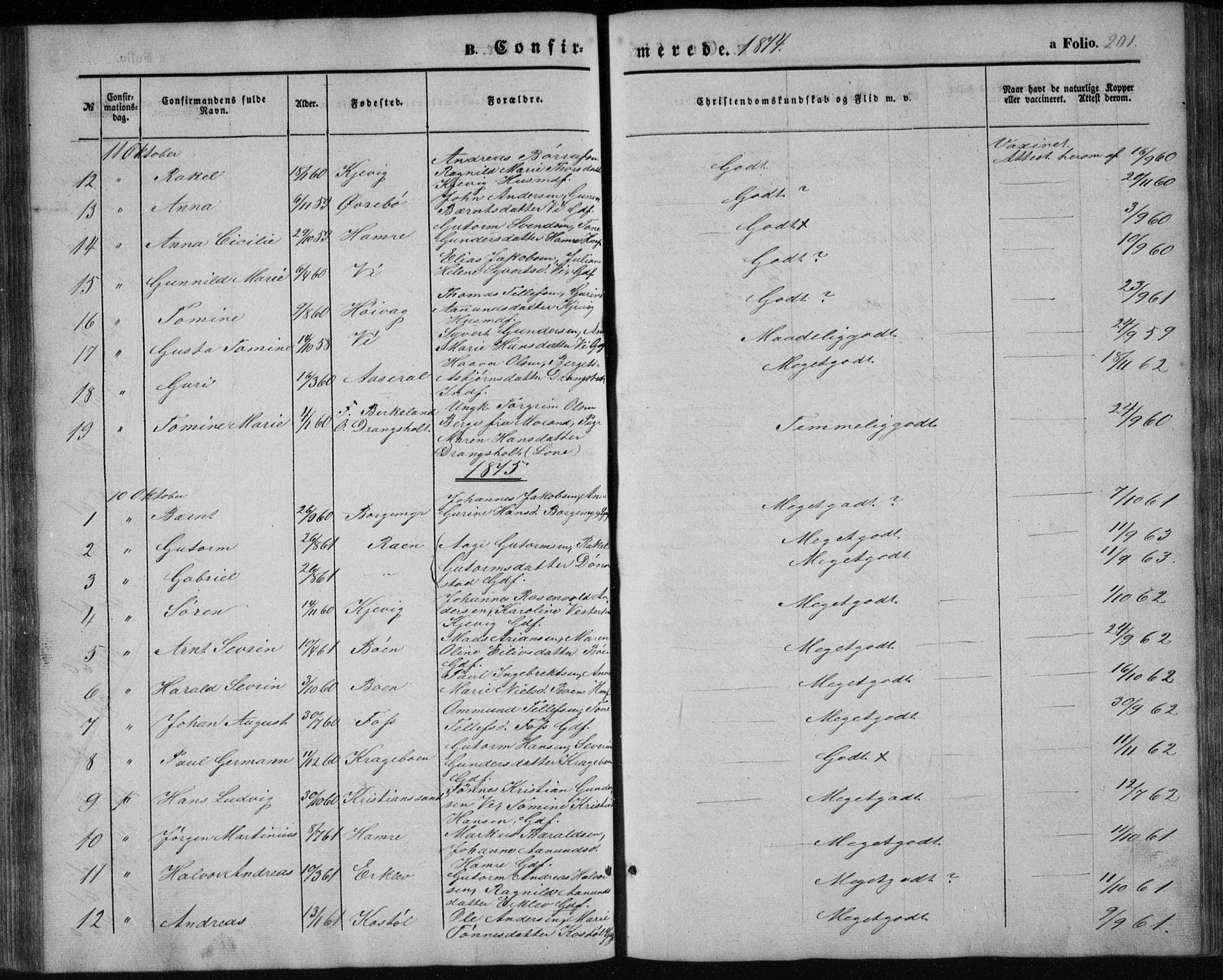 Tveit sokneprestkontor, AV/SAK-1111-0043/F/Fb/L0003: Parish register (copy) no. B 3, 1854-1886, p. 201