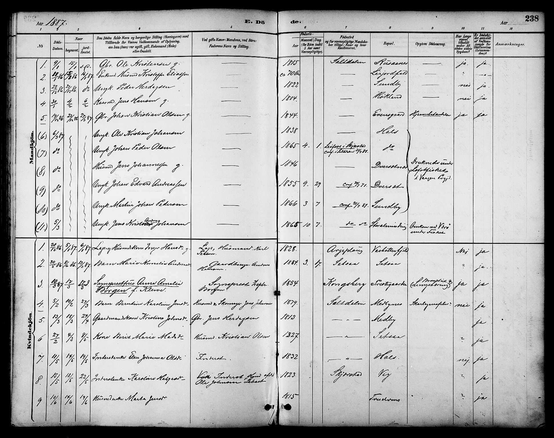 Ministerialprotokoller, klokkerbøker og fødselsregistre - Nordland, AV/SAT-A-1459/847/L0669: Parish register (official) no. 847A09, 1887-1901, p. 238