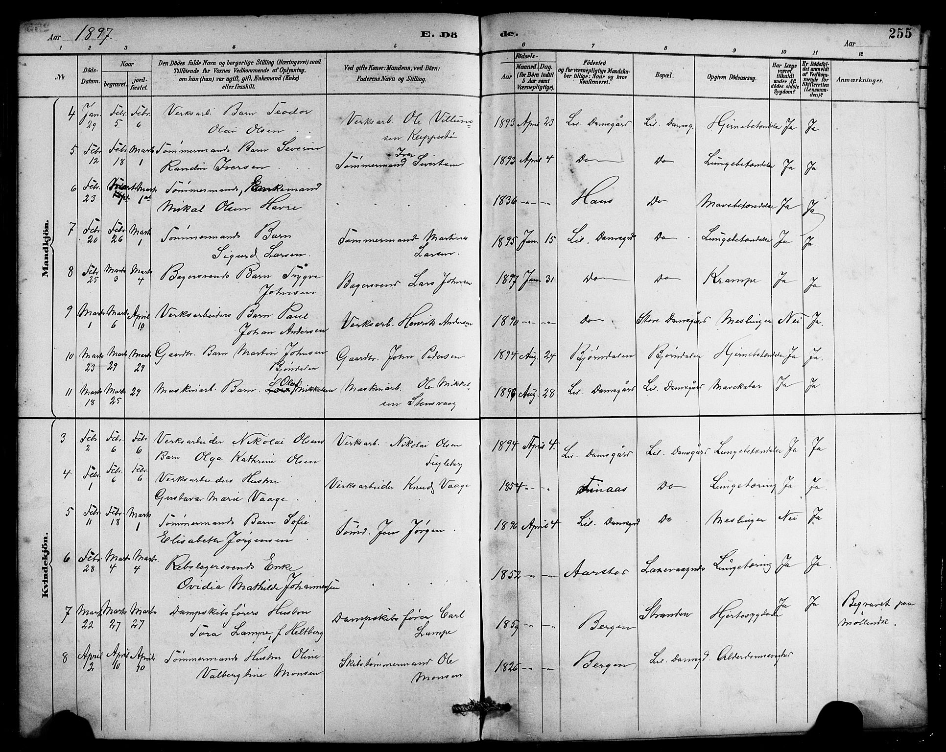 Laksevåg Sokneprestembete, AV/SAB-A-76501/H/Ha/Hab/Haba/L0003: Parish register (copy) no. A 3, 1887-1899, p. 255