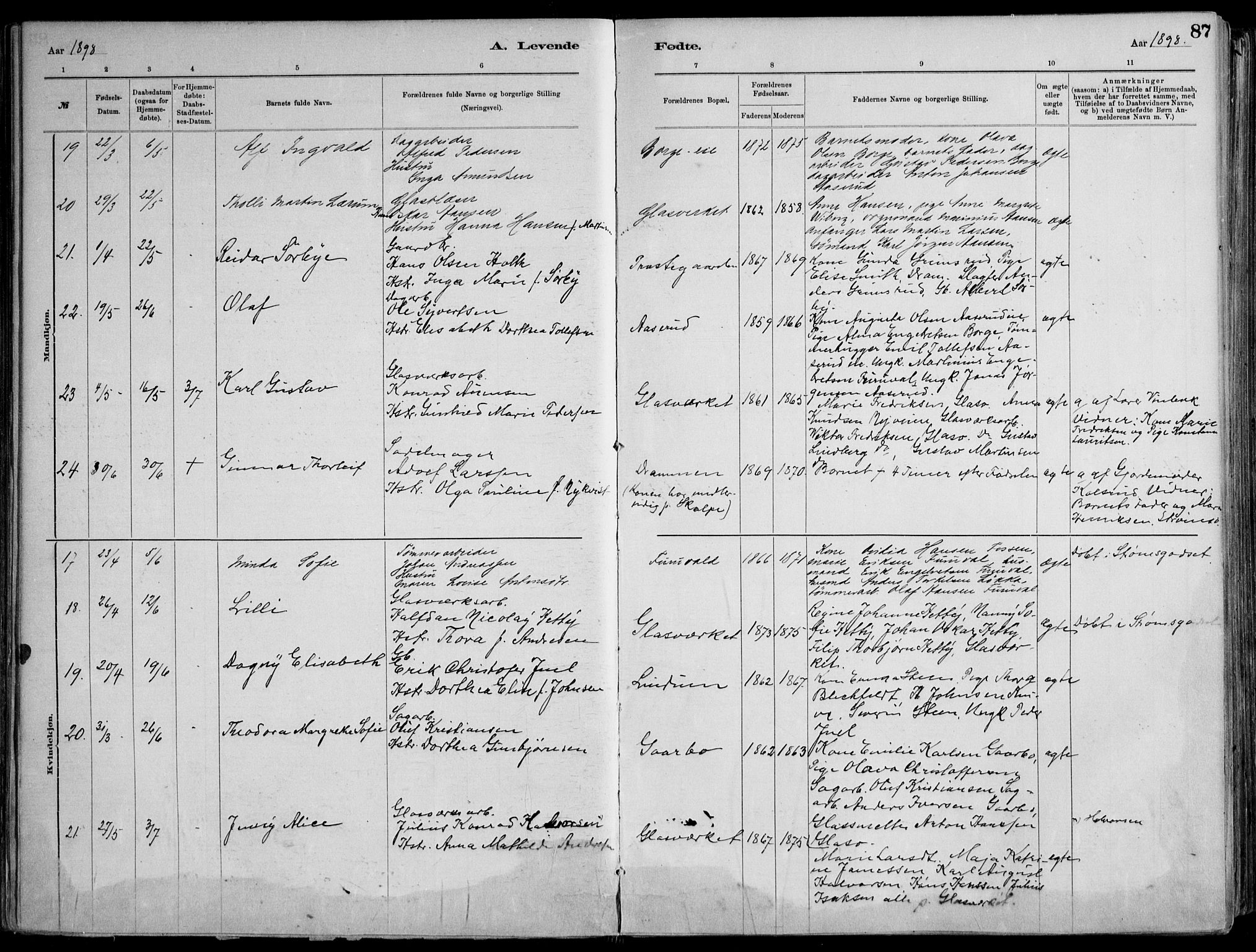Skoger kirkebøker, AV/SAKO-A-59/F/Fa/L0006: Parish register (official) no. I 6, 1885-1910, p. 87