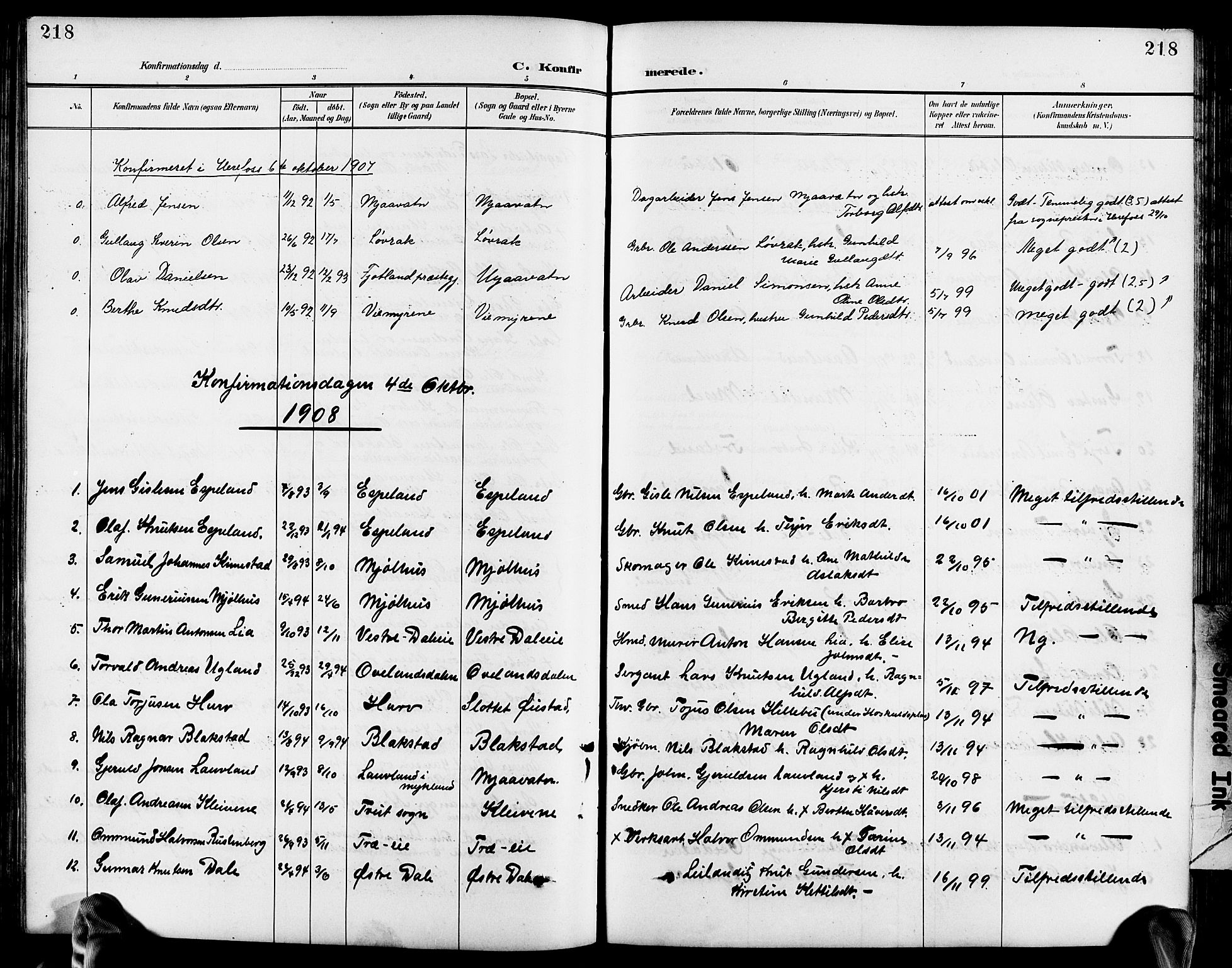 Froland sokneprestkontor, AV/SAK-1111-0013/F/Fb/L0010: Parish register (copy) no. B 10, 1893-1920, p. 218