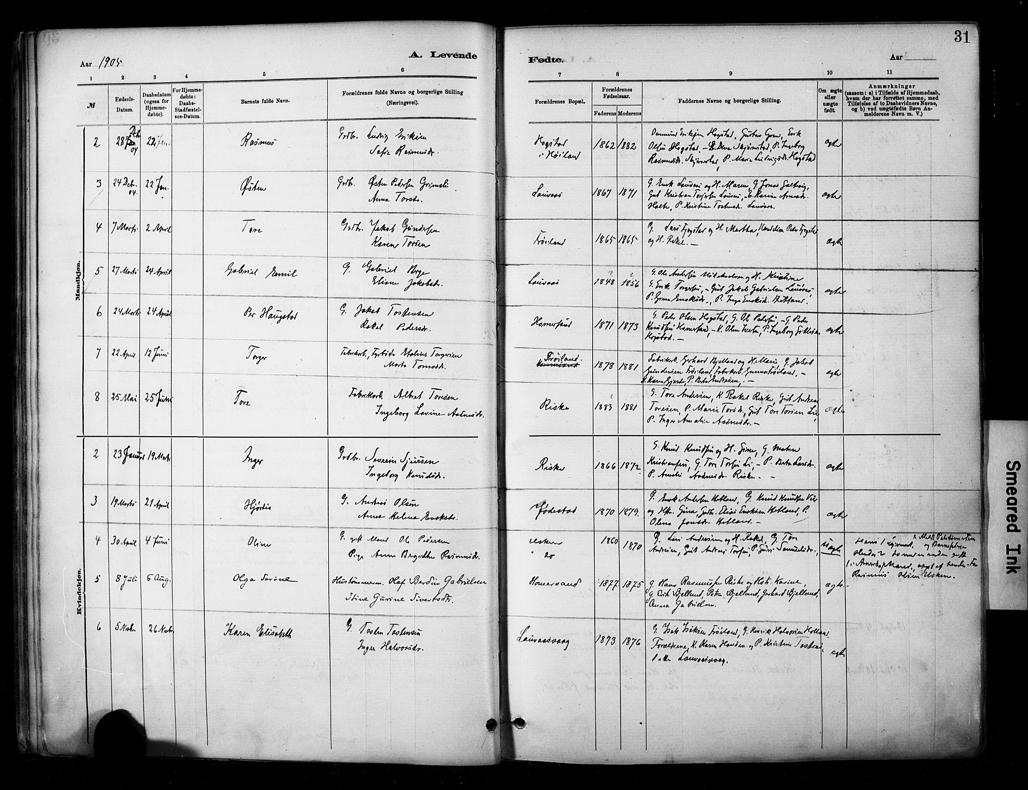 Hetland sokneprestkontor, AV/SAST-A-101826/30/30BA/L0010: Parish register (official) no. A 10, 1882-1925, p. 31