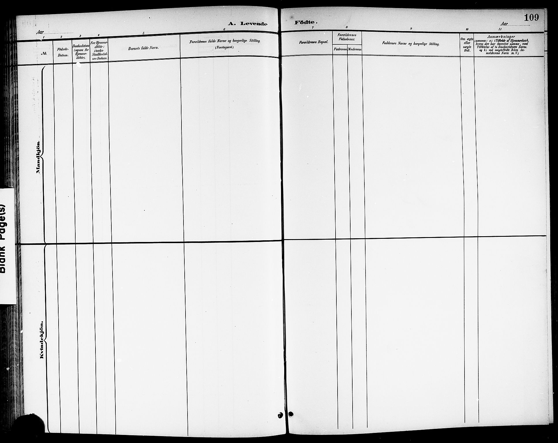 Brunlanes kirkebøker, SAKO/A-342/G/Ga/L0004: Parish register (copy) no. I 4, 1898-1921, p. 109