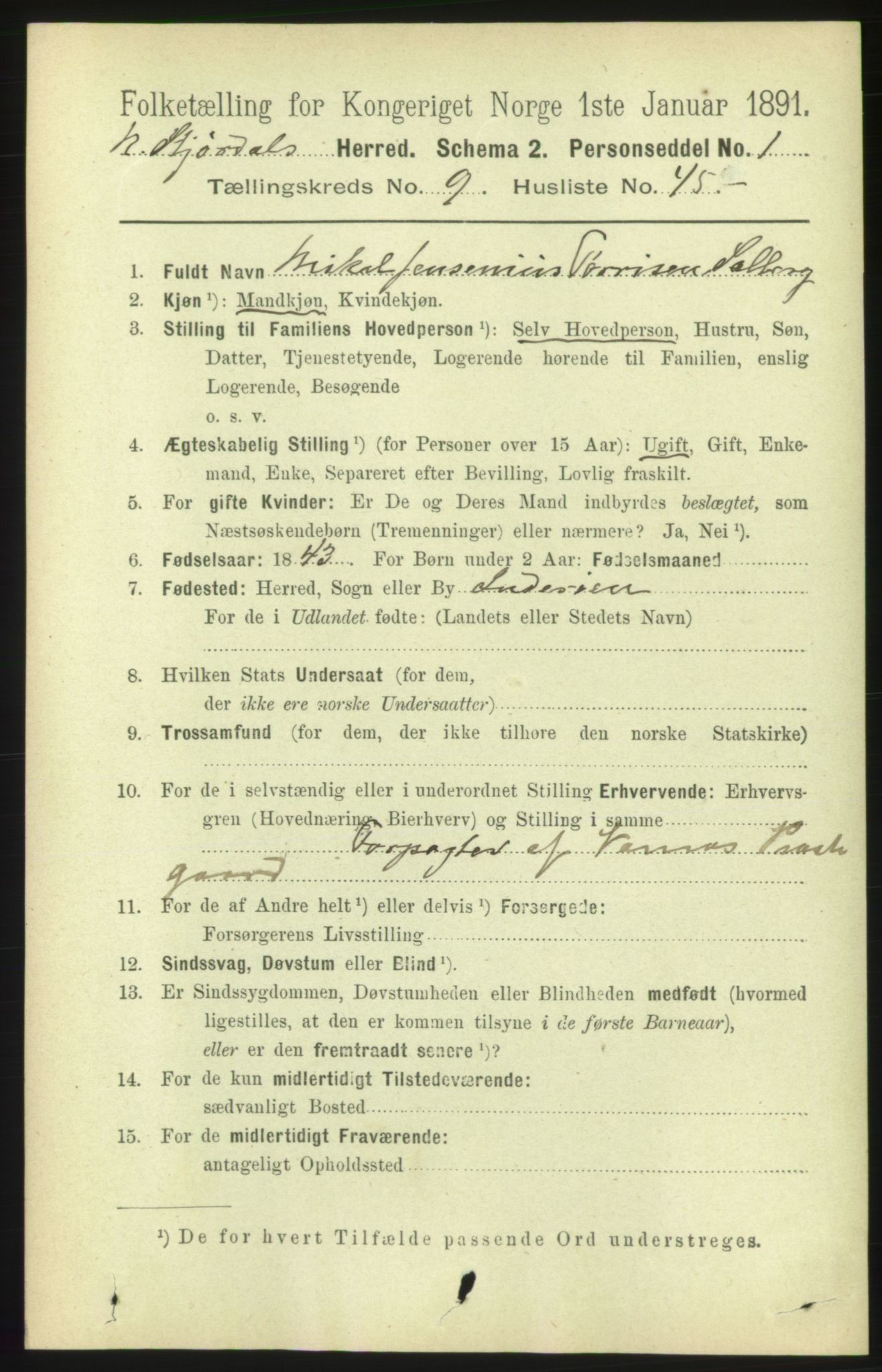 RA, 1891 census for 1714 Nedre Stjørdal, 1891, p. 5101