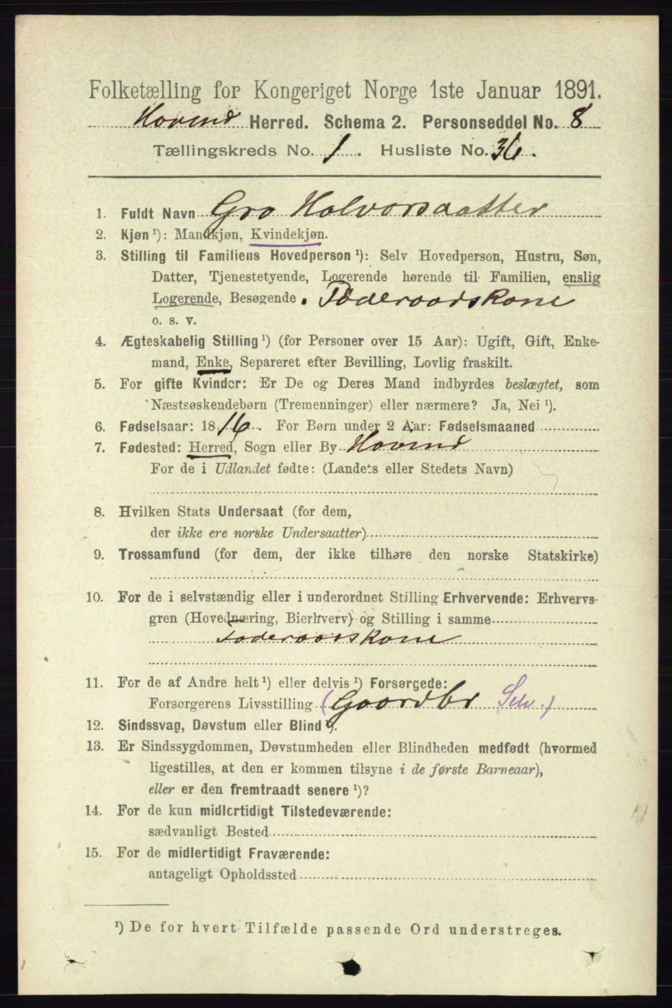 RA, 1891 census for 0825 Hovin, 1891, p. 303