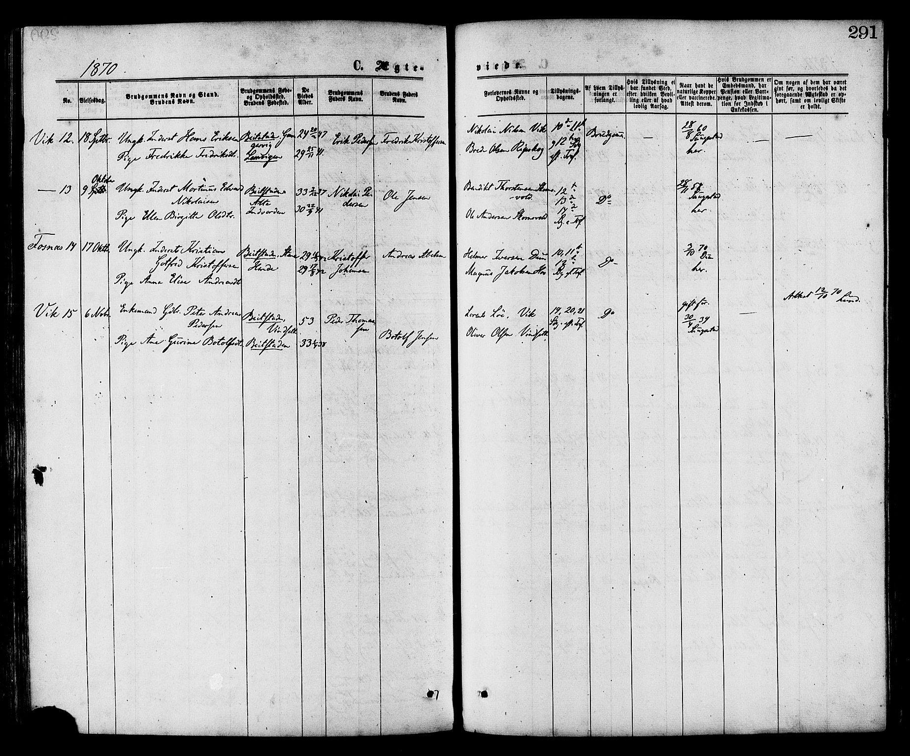 Ministerialprotokoller, klokkerbøker og fødselsregistre - Nord-Trøndelag, SAT/A-1458/773/L0616: Parish register (official) no. 773A07, 1870-1887, p. 291