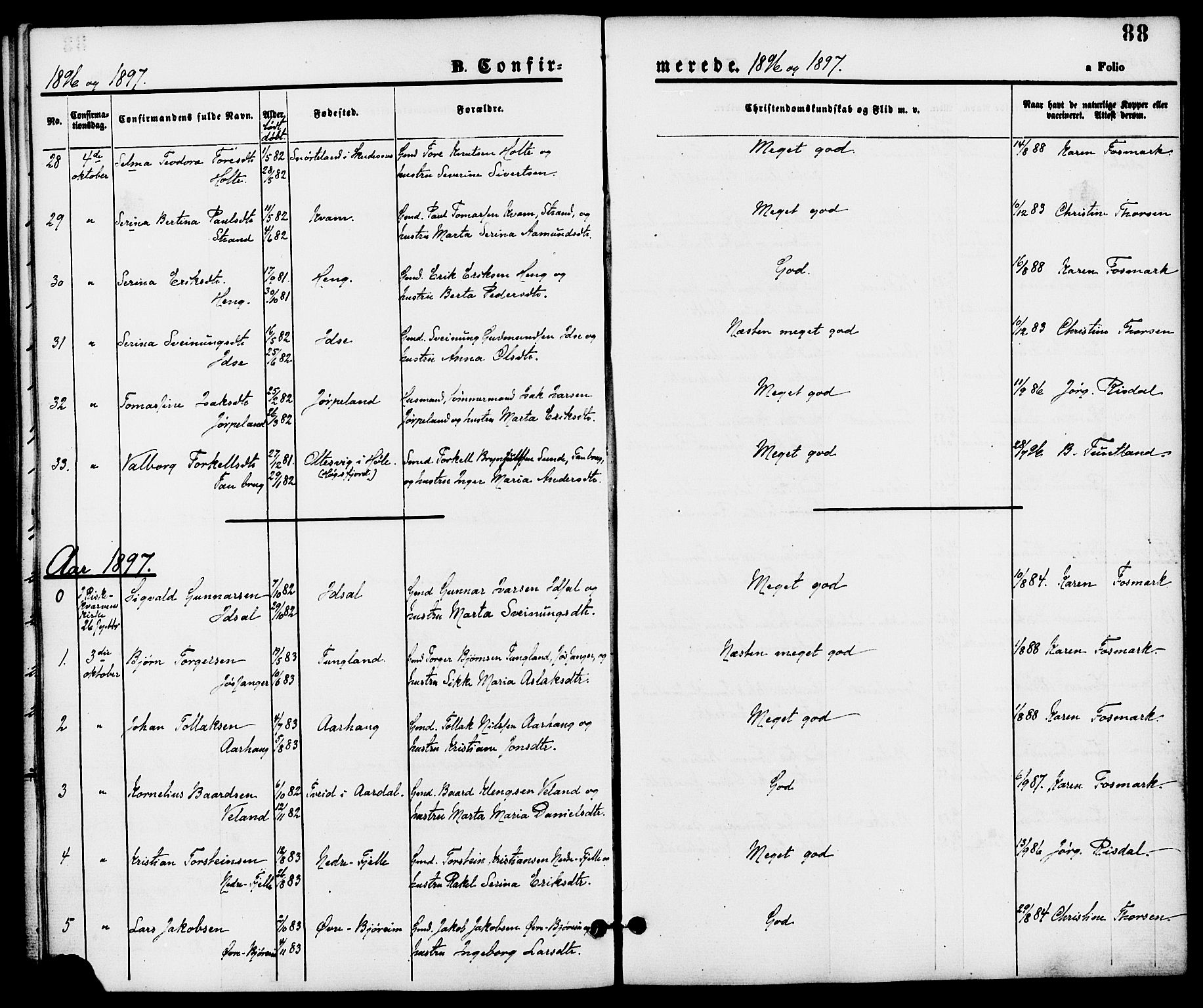 Strand sokneprestkontor, SAST/A-101828/H/Ha/Haa/L0008: Parish register (official) no. A 8, 1874-1907, p. 88
