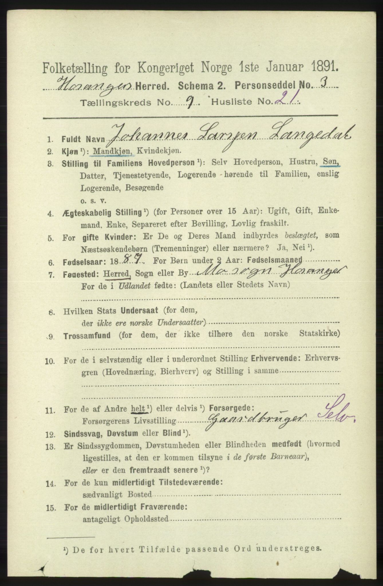 RA, 1891 census for 1253 Hosanger, 1891, p. 3417