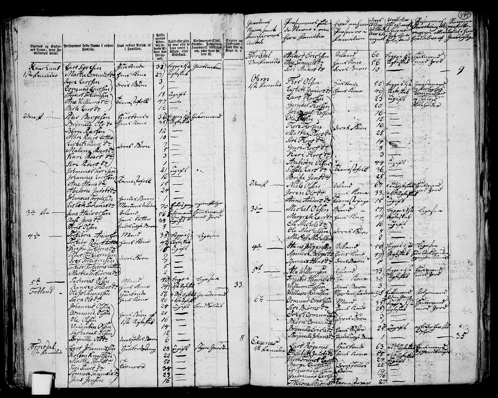 RA, 1801 census for 1154P Skjold, 1801, p. 494b-495a