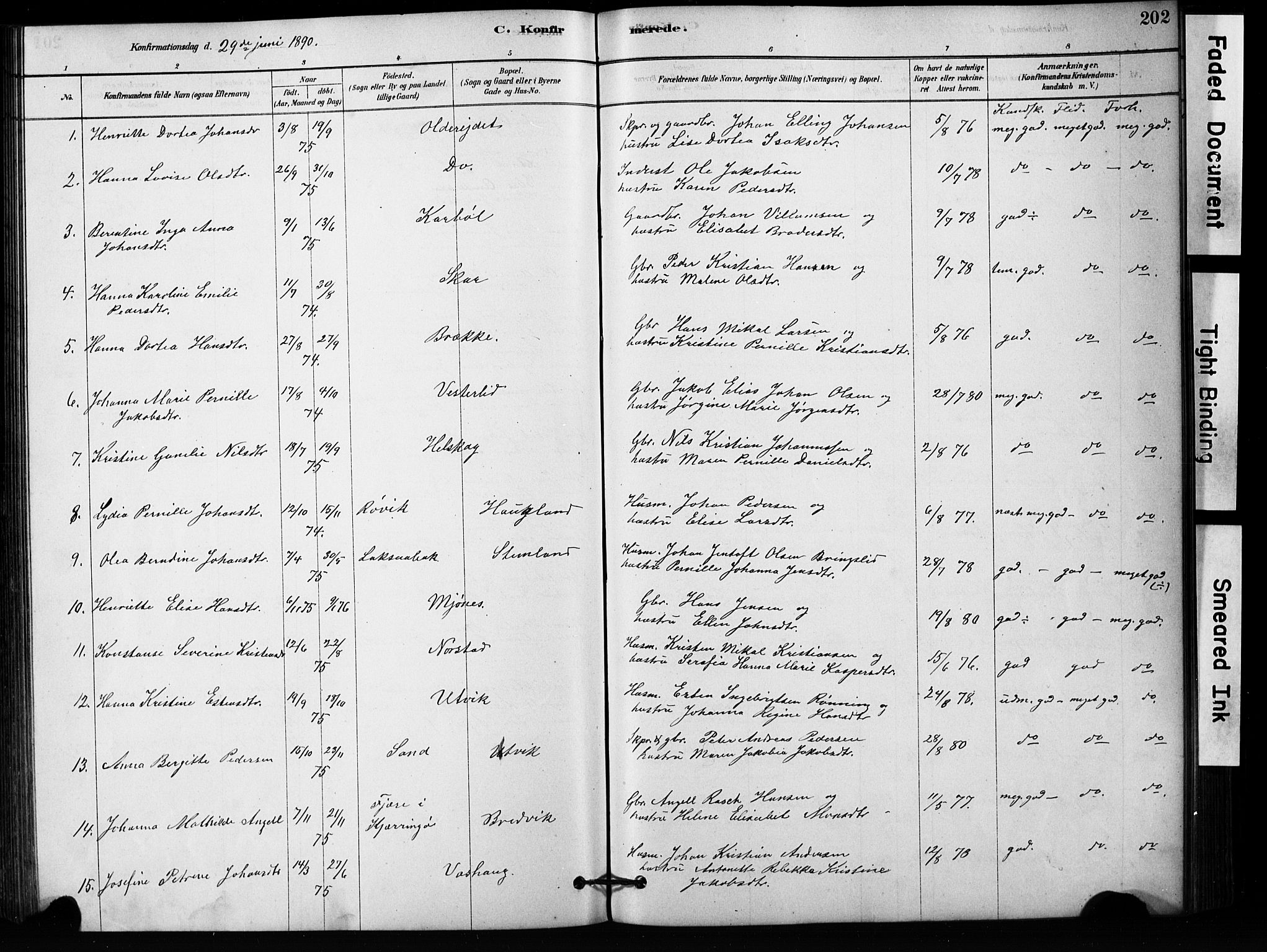 Ministerialprotokoller, klokkerbøker og fødselsregistre - Nordland, AV/SAT-A-1459/852/L0754: Parish register (copy) no. 852C05, 1878-1894, p. 202