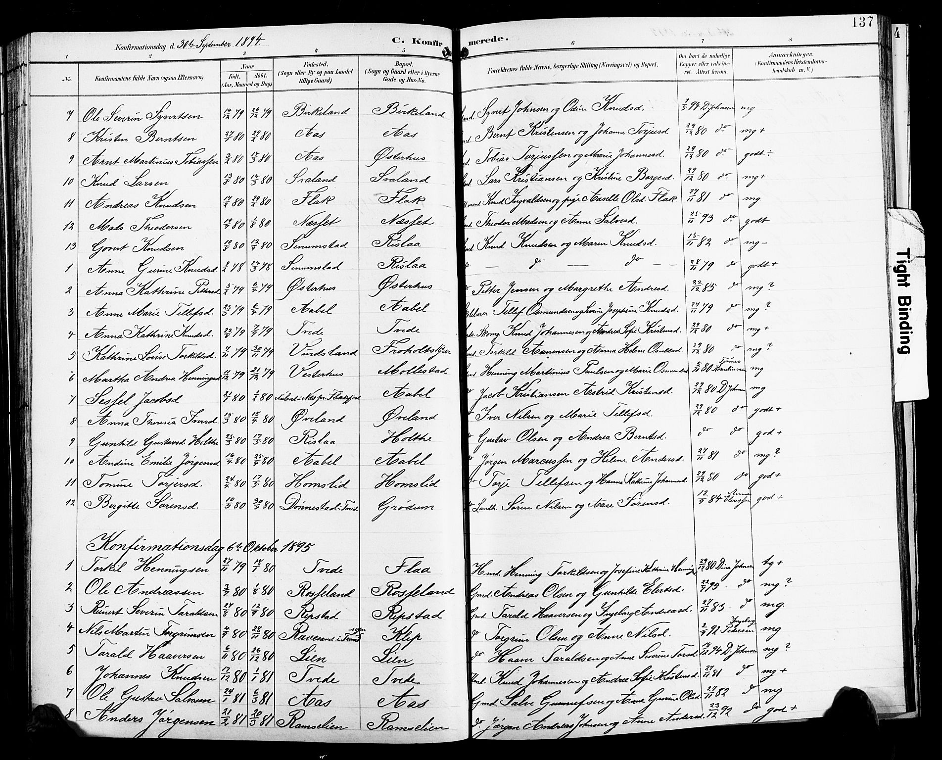 Birkenes sokneprestkontor, SAK/1111-0004/F/Fb/L0004: Parish register (copy) no. B 4, 1893-1930, p. 137