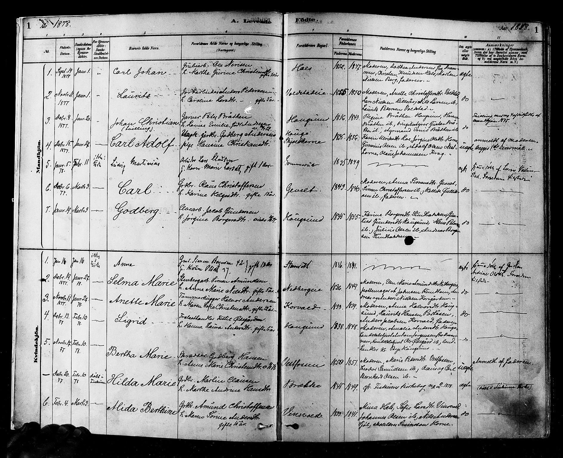 Eiker kirkebøker, SAKO/A-4/F/Fb/L0001: Parish register (official) no. II 1, 1878-1888, p. 1