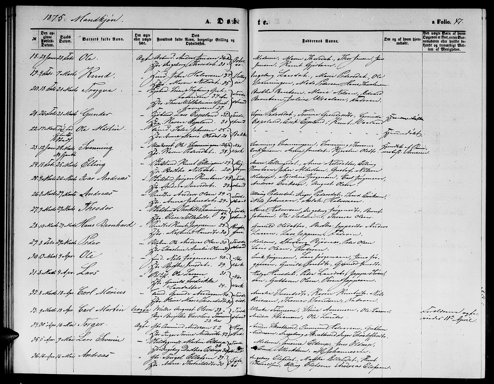 Holt sokneprestkontor, SAK/1111-0021/F/Fb/L0009: Parish register (copy) no. B 9, 1871-1883, p. 47