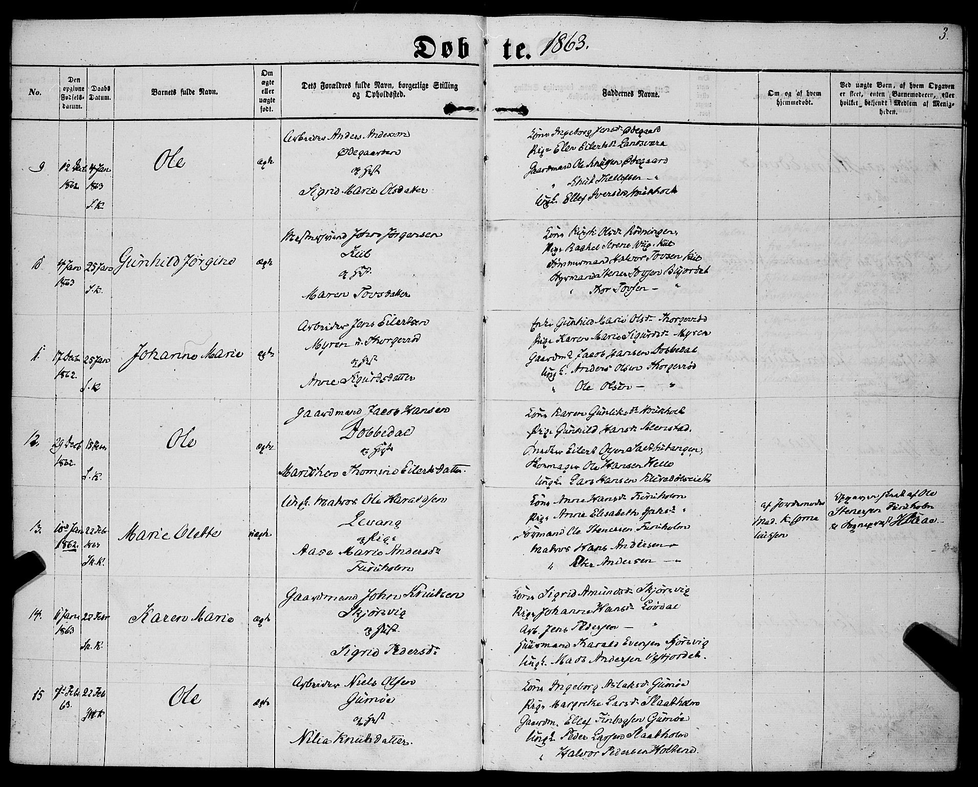 Sannidal kirkebøker, AV/SAKO-A-296/F/Fa/L0011: Parish register (official) no. 11, 1863-1873, p. 3