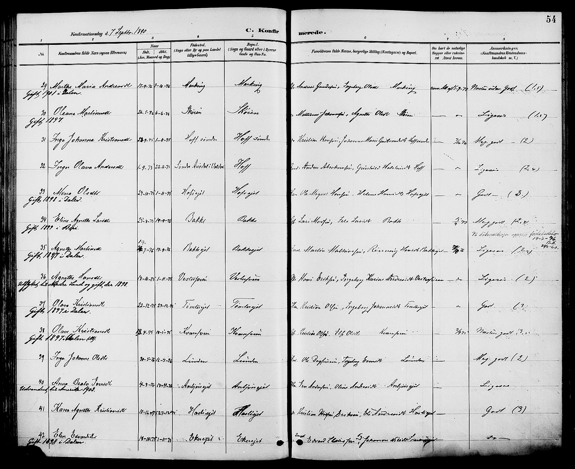 Biri prestekontor, SAH/PREST-096/H/Ha/Haa/L0007: Parish register (official) no. 7, 1887-1893, p. 54