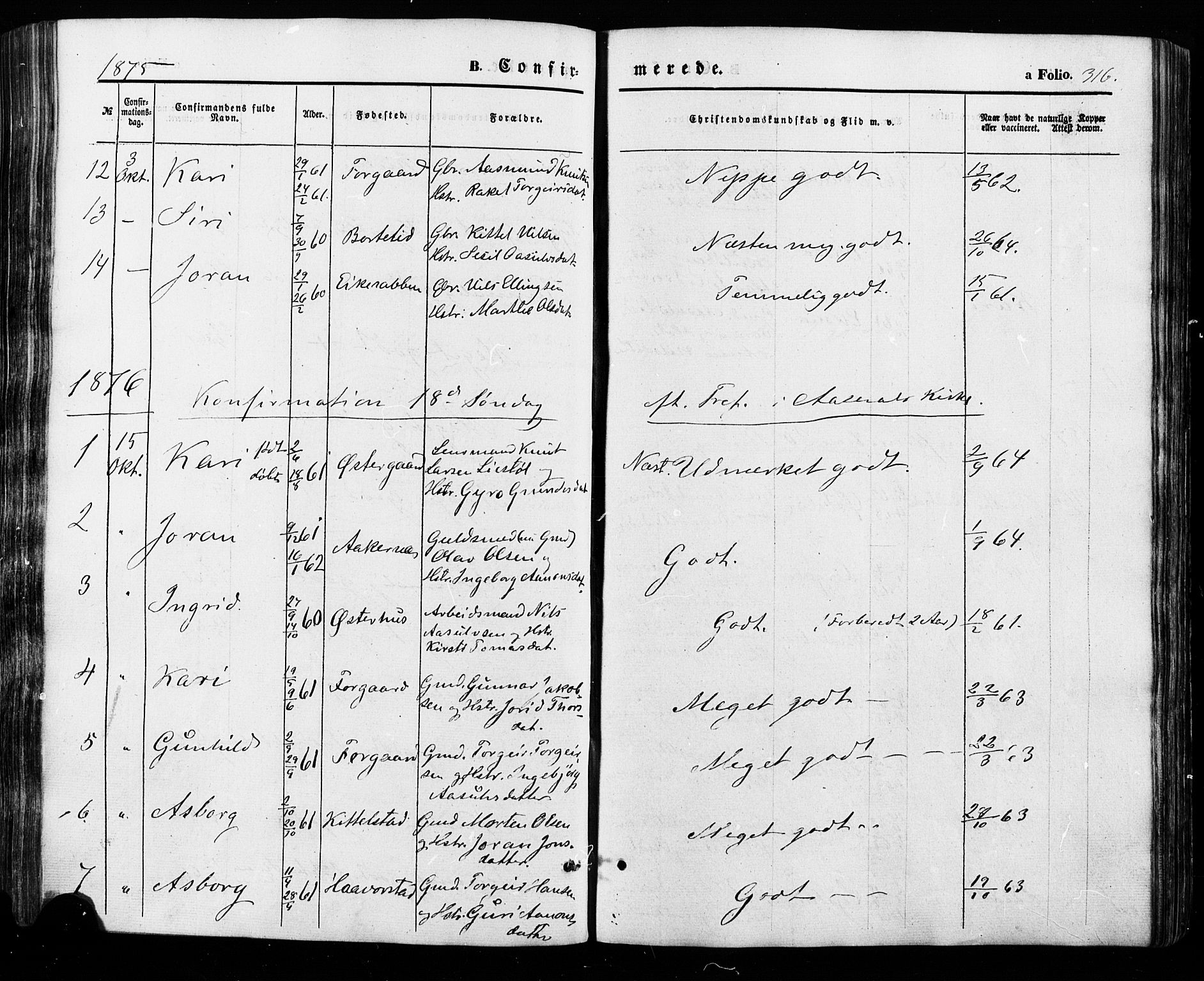 Åseral sokneprestkontor, SAK/1111-0051/F/Fa/L0002: Parish register (official) no. A 2, 1854-1884, p. 316