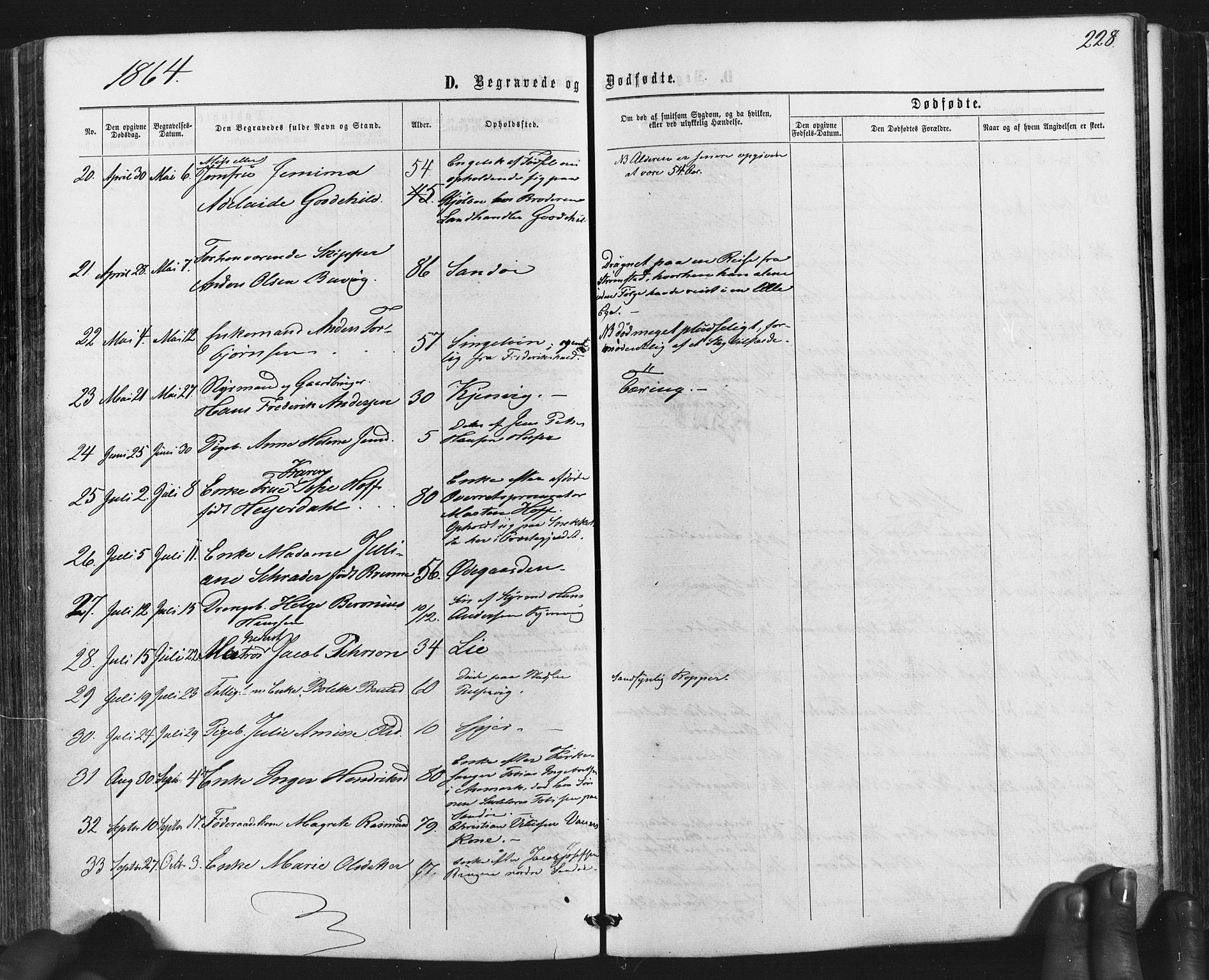 Hvaler prestekontor Kirkebøker, SAO/A-2001/F/Fa/L0007: Parish register (official) no. I 7, 1864-1878, p. 228