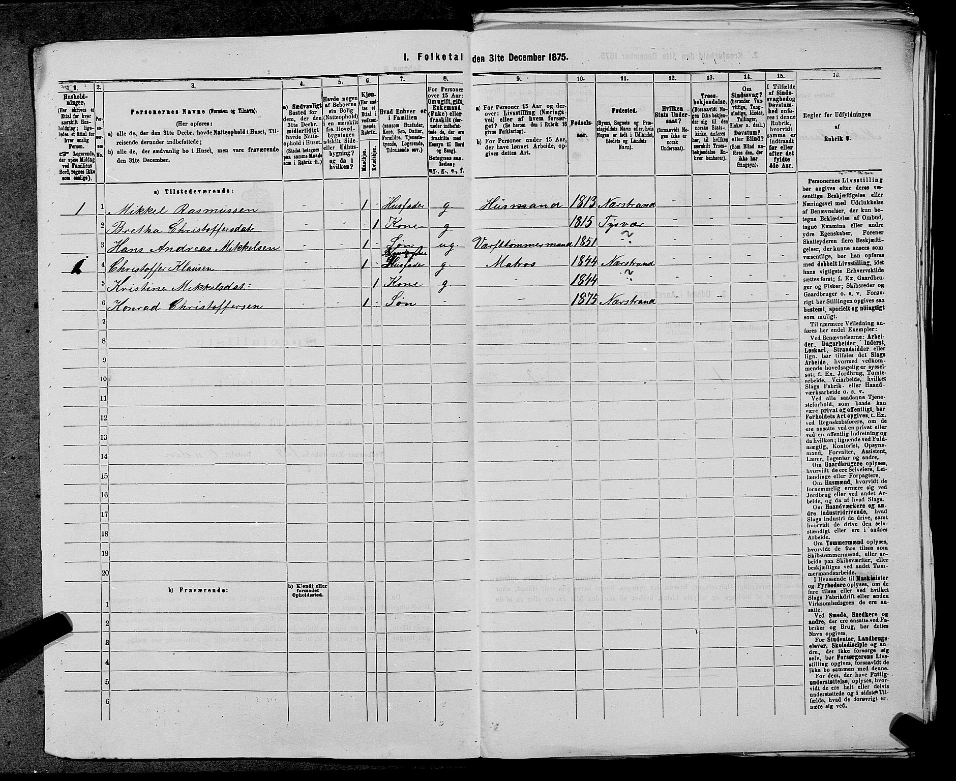 SAST, 1875 census for 1138P Jelsa, 1875, p. 496