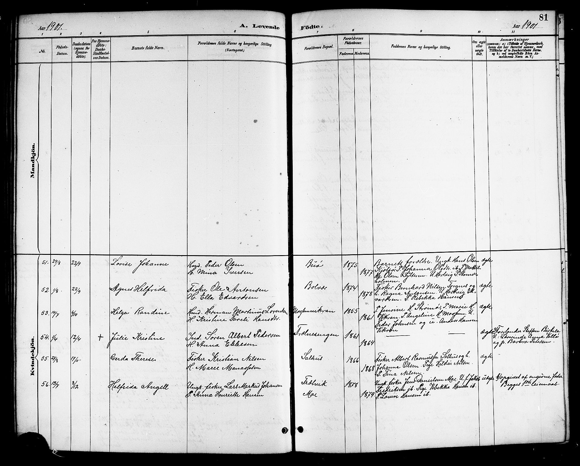 Ministerialprotokoller, klokkerbøker og fødselsregistre - Nordland, SAT/A-1459/813/L0213: Parish register (copy) no. 813C05, 1887-1903, p. 81