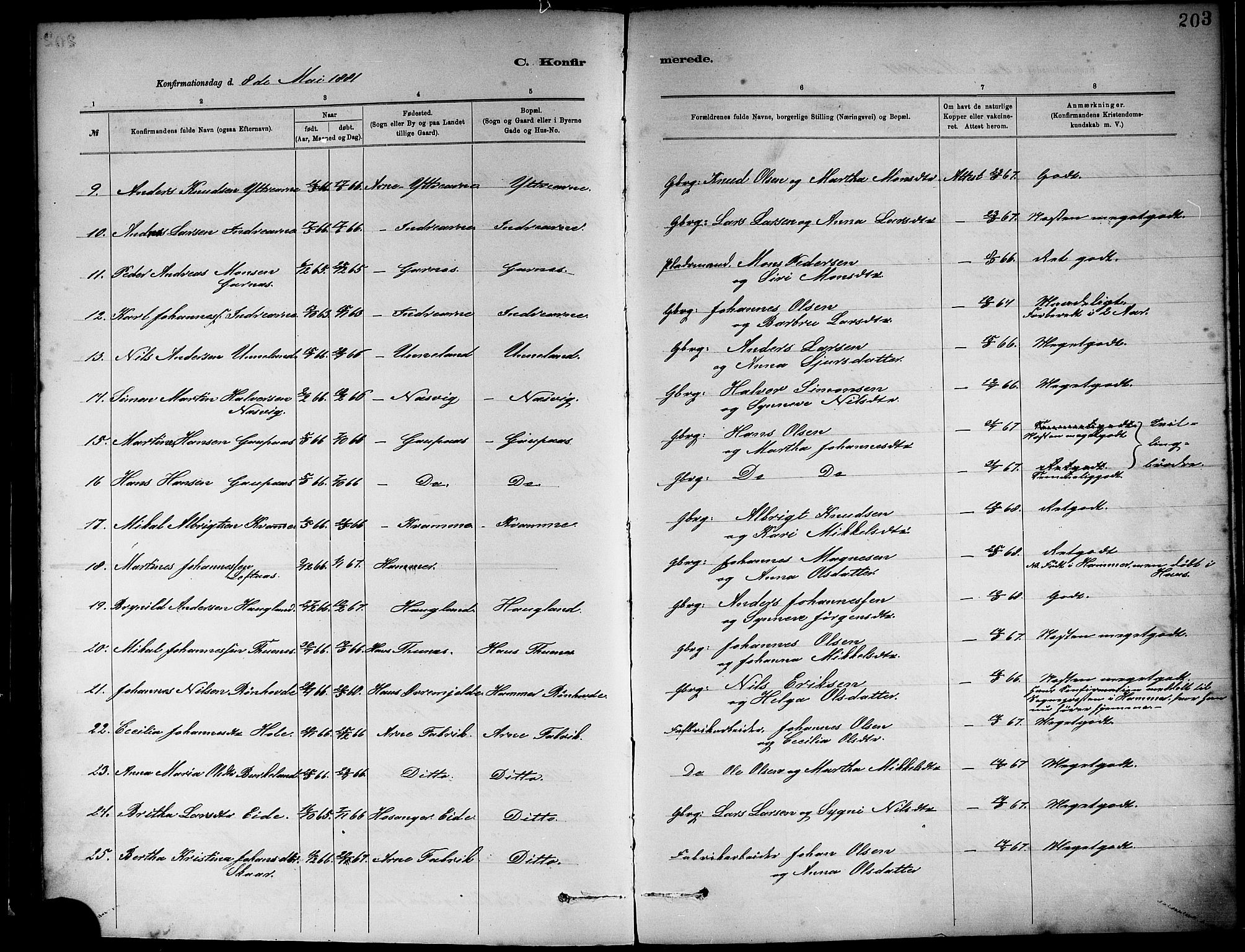 Haus sokneprestembete, AV/SAB-A-75601/H/Haa: Parish register (official) no. A 19I, 1878-1886, p. 203