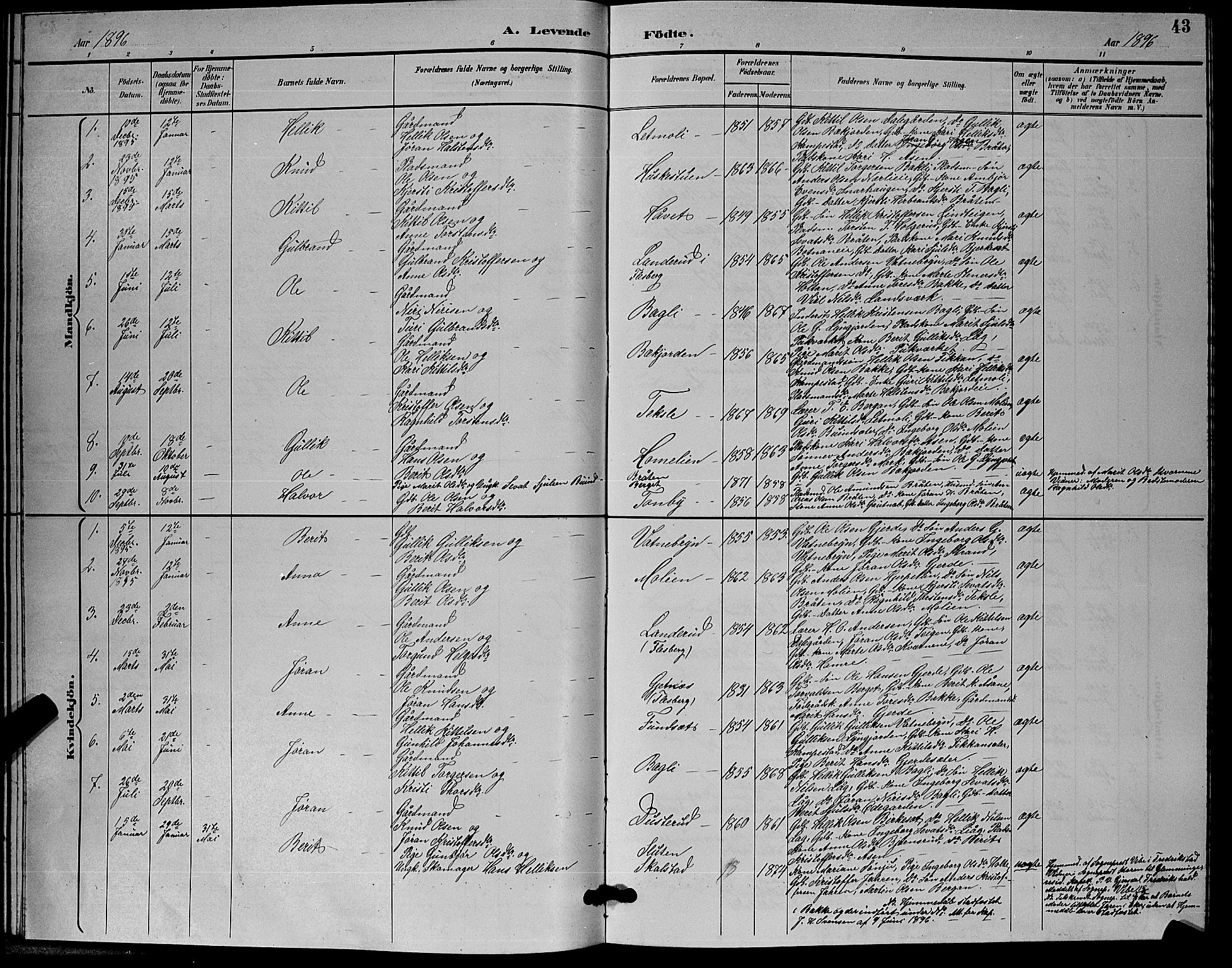 Flesberg kirkebøker, AV/SAKO-A-18/G/Ga/L0004: Parish register (copy) no. I 4 /3, 1890-1898, p. 43