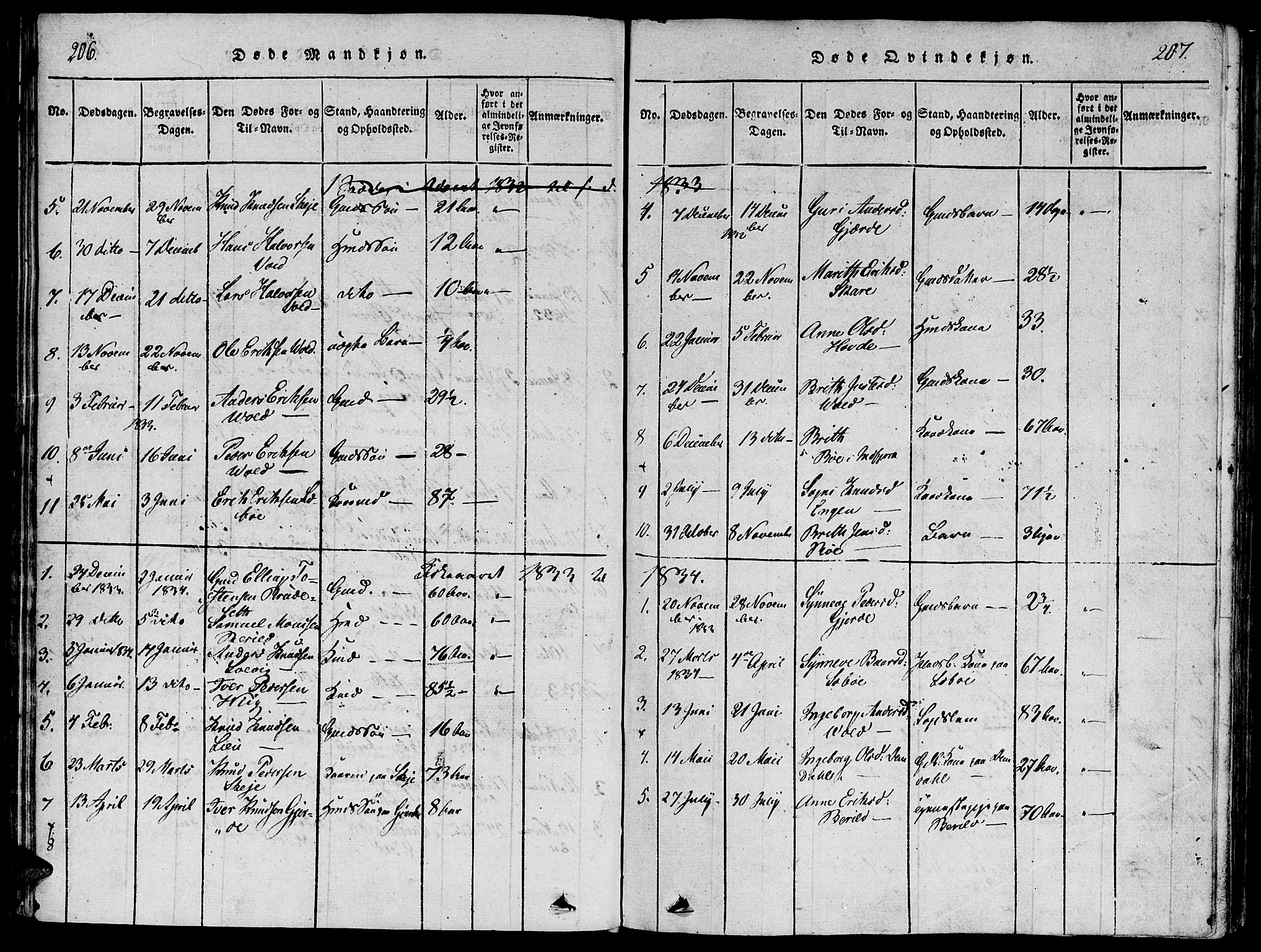 Ministerialprotokoller, klokkerbøker og fødselsregistre - Møre og Romsdal, SAT/A-1454/543/L0561: Parish register (official) no. 543A01, 1818-1853, p. 206-207