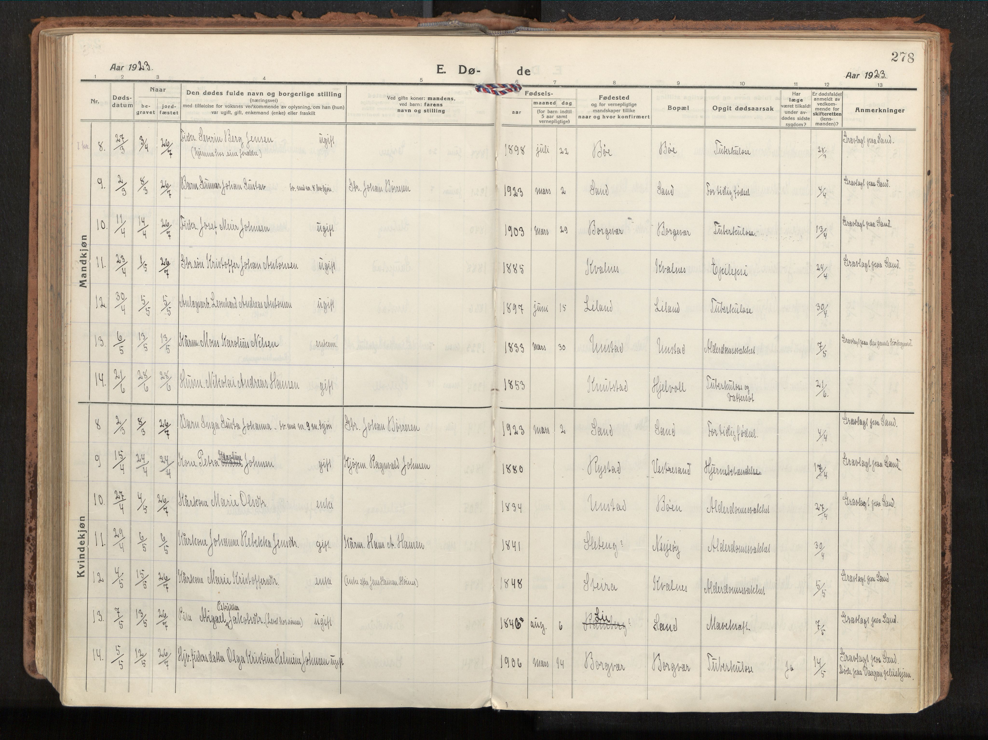 Ministerialprotokoller, klokkerbøker og fødselsregistre - Nordland, AV/SAT-A-1459/880/L1136: Parish register (official) no. 880A10, 1919-1927, p. 278