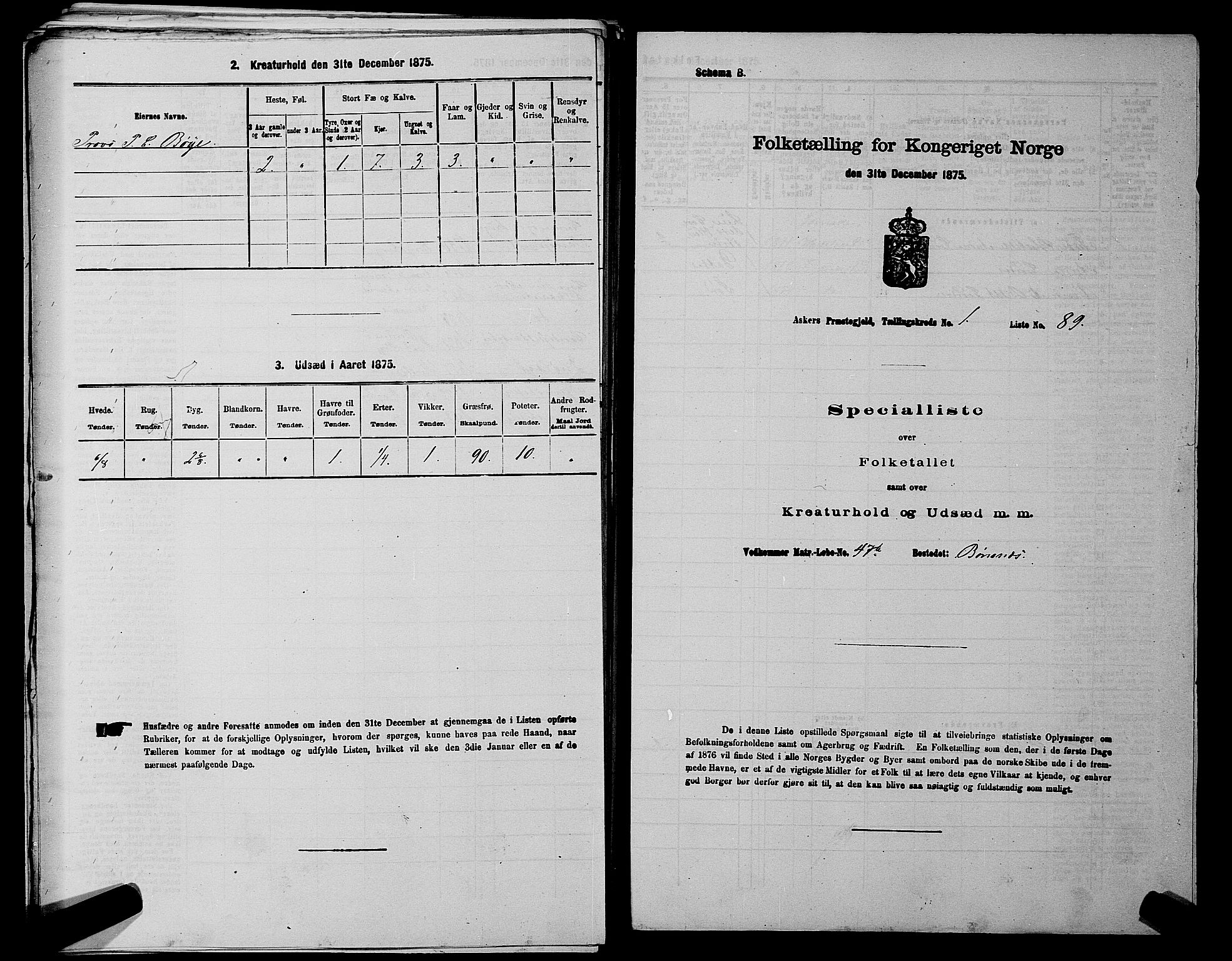 RA, 1875 census for 0220P Asker, 1875, p. 347