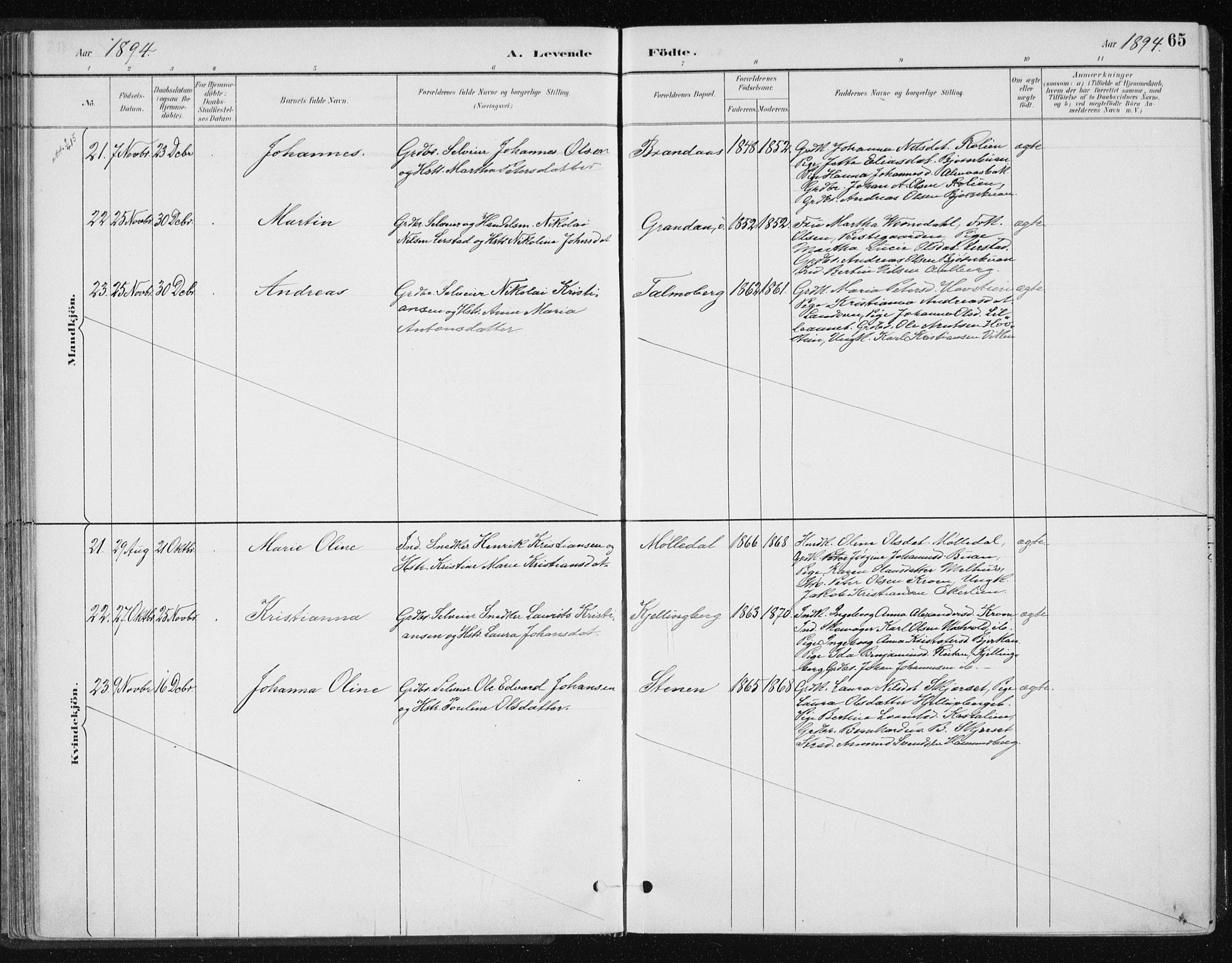 Ministerialprotokoller, klokkerbøker og fødselsregistre - Nord-Trøndelag, SAT/A-1458/701/L0010: Parish register (official) no. 701A10, 1883-1899, p. 65